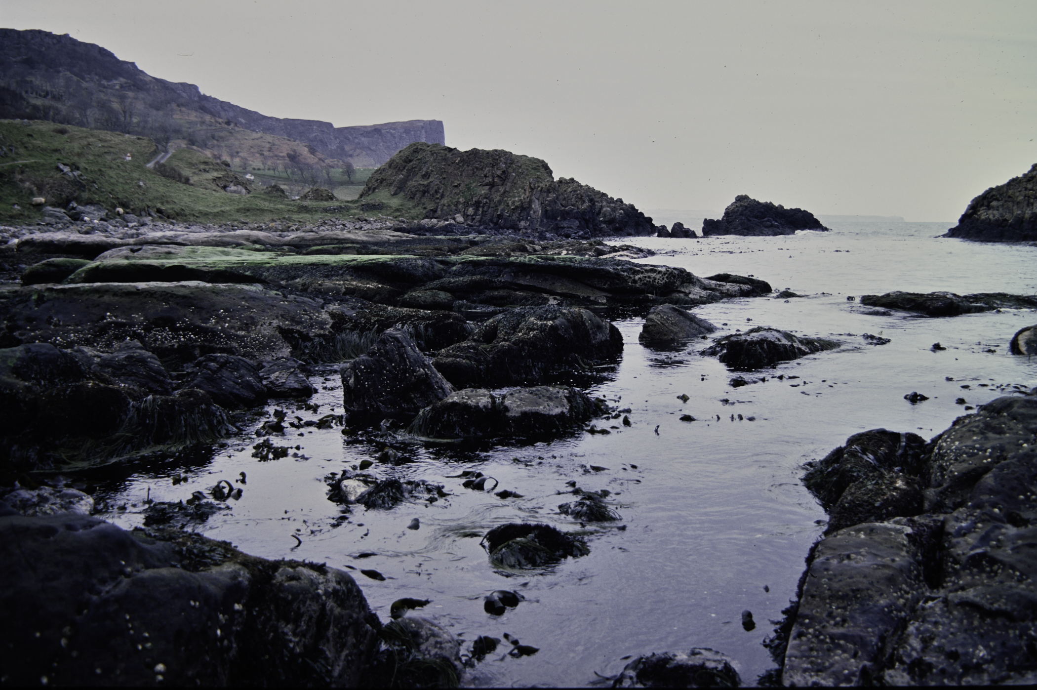 . Site: Murlough Bay, NE Coast. 