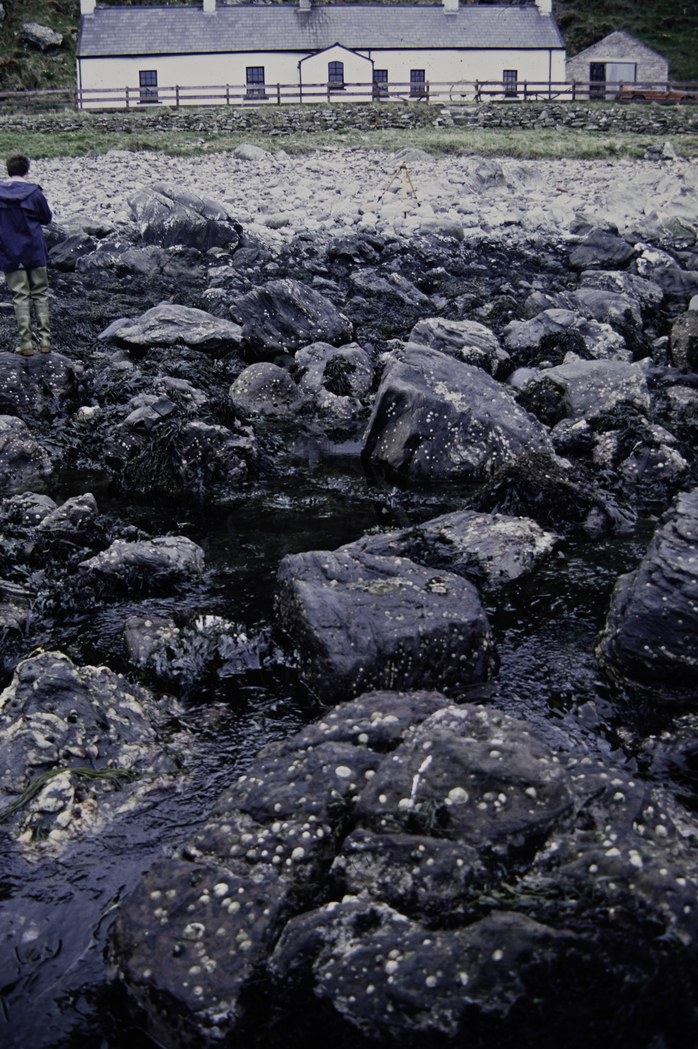 . Site: Murlough Bay, NE Coast. 