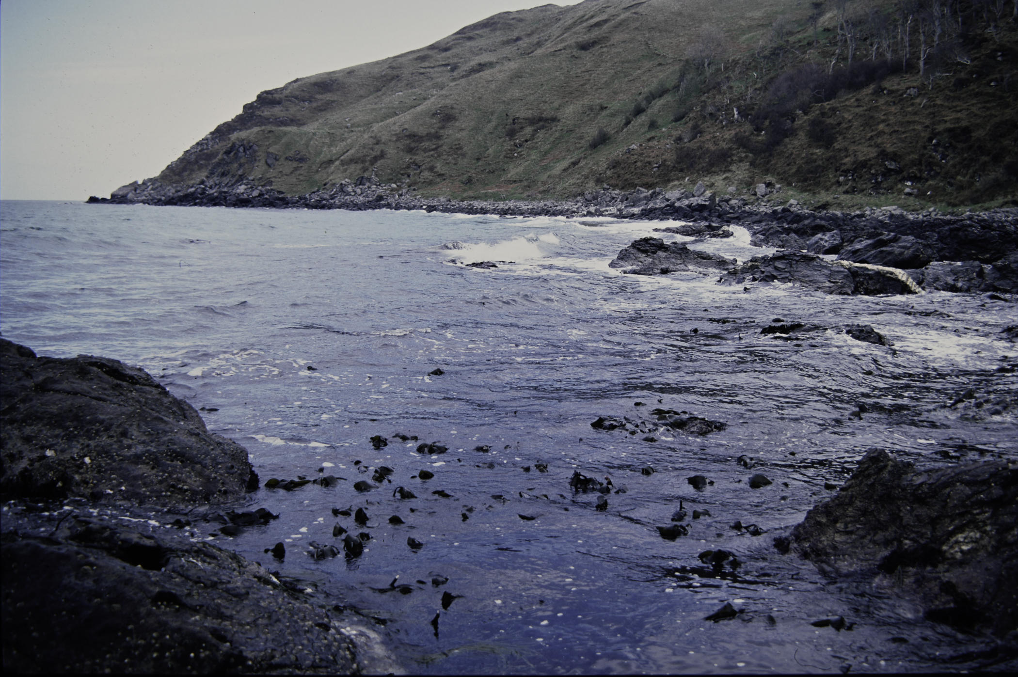 . Site: Murlough Bay, NE Coast. 