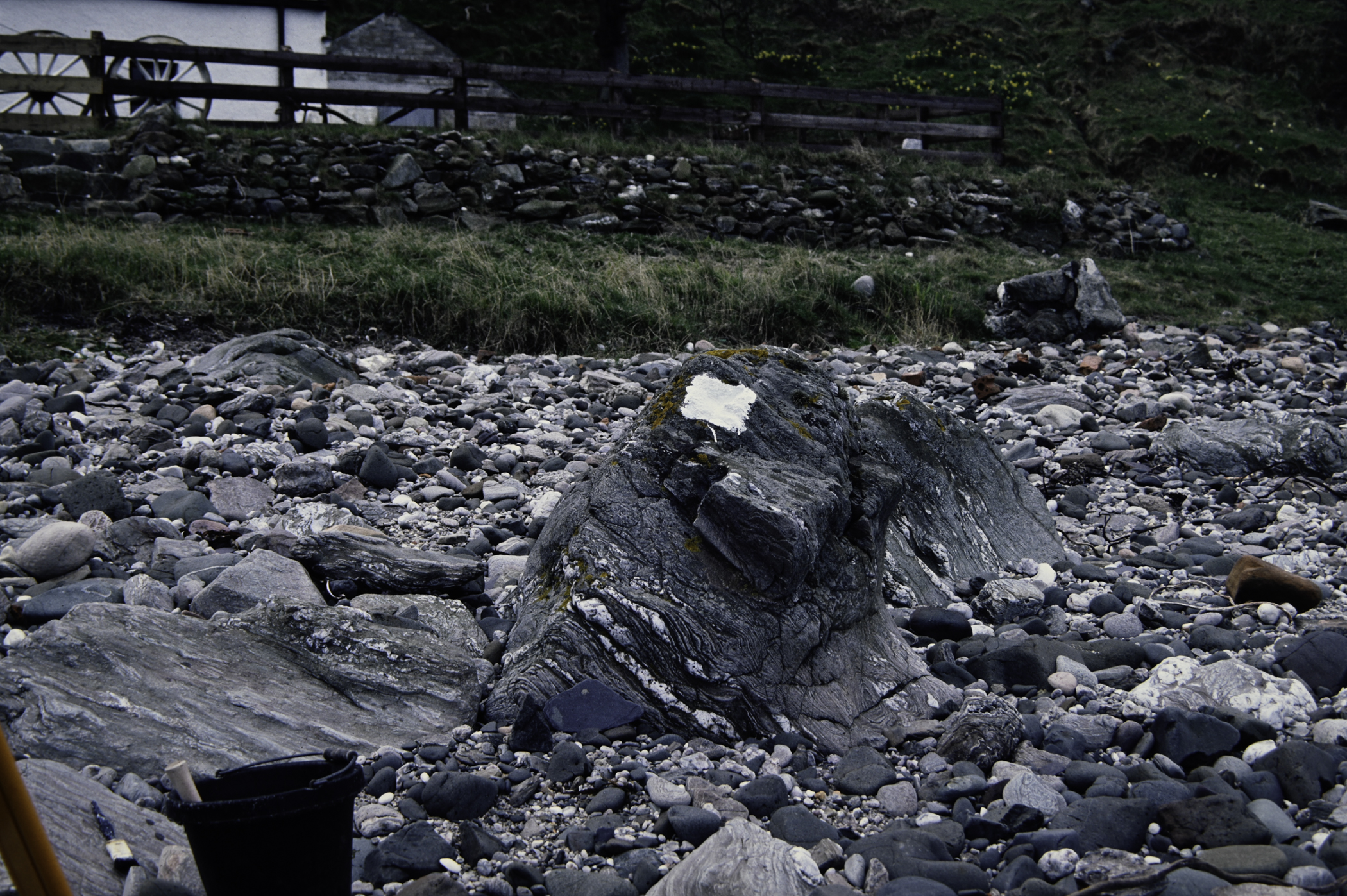 . Site: Murlough Bay, NE Coast. 