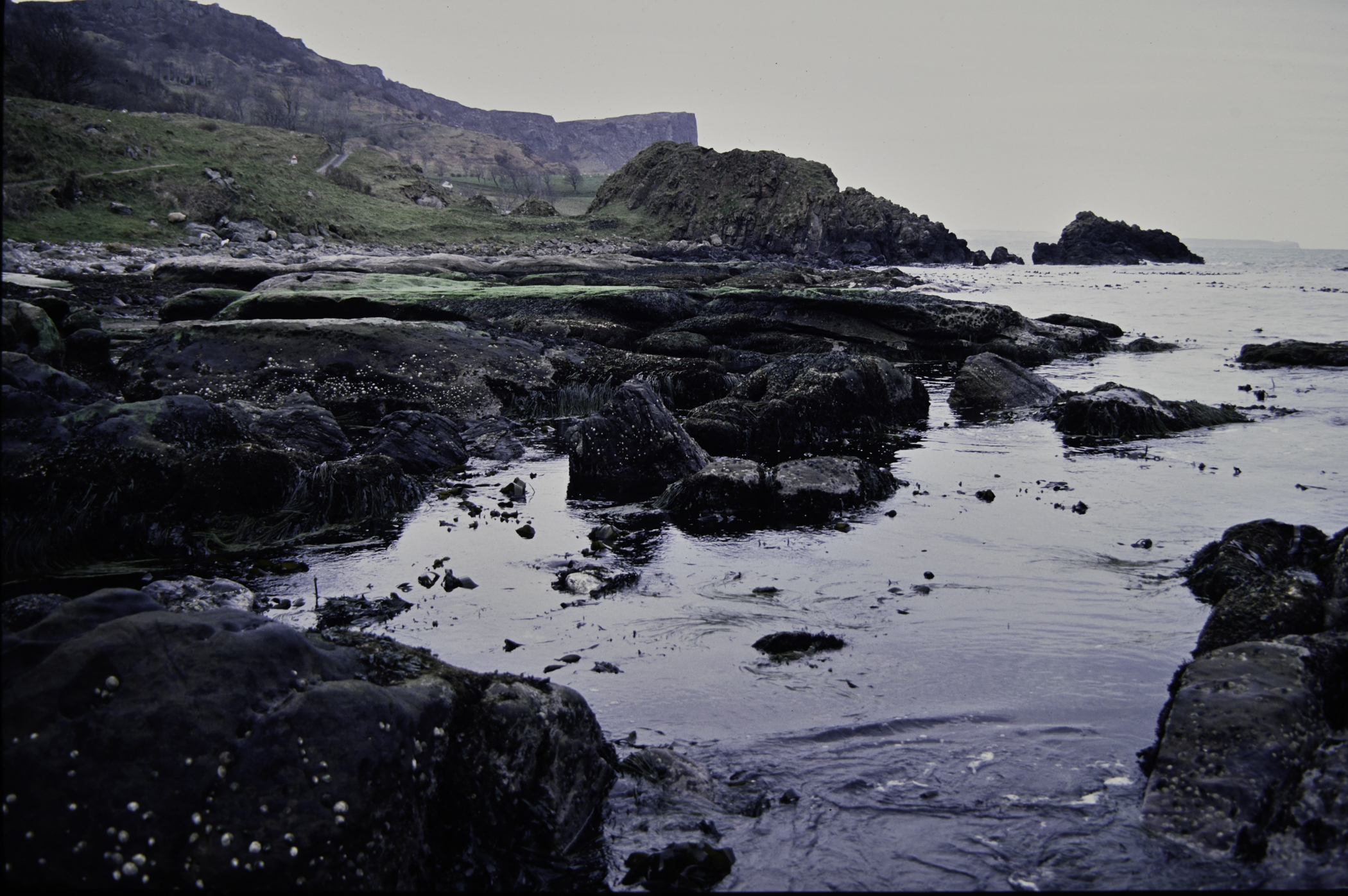 . Site: Murlough Bay, NE Coast. 