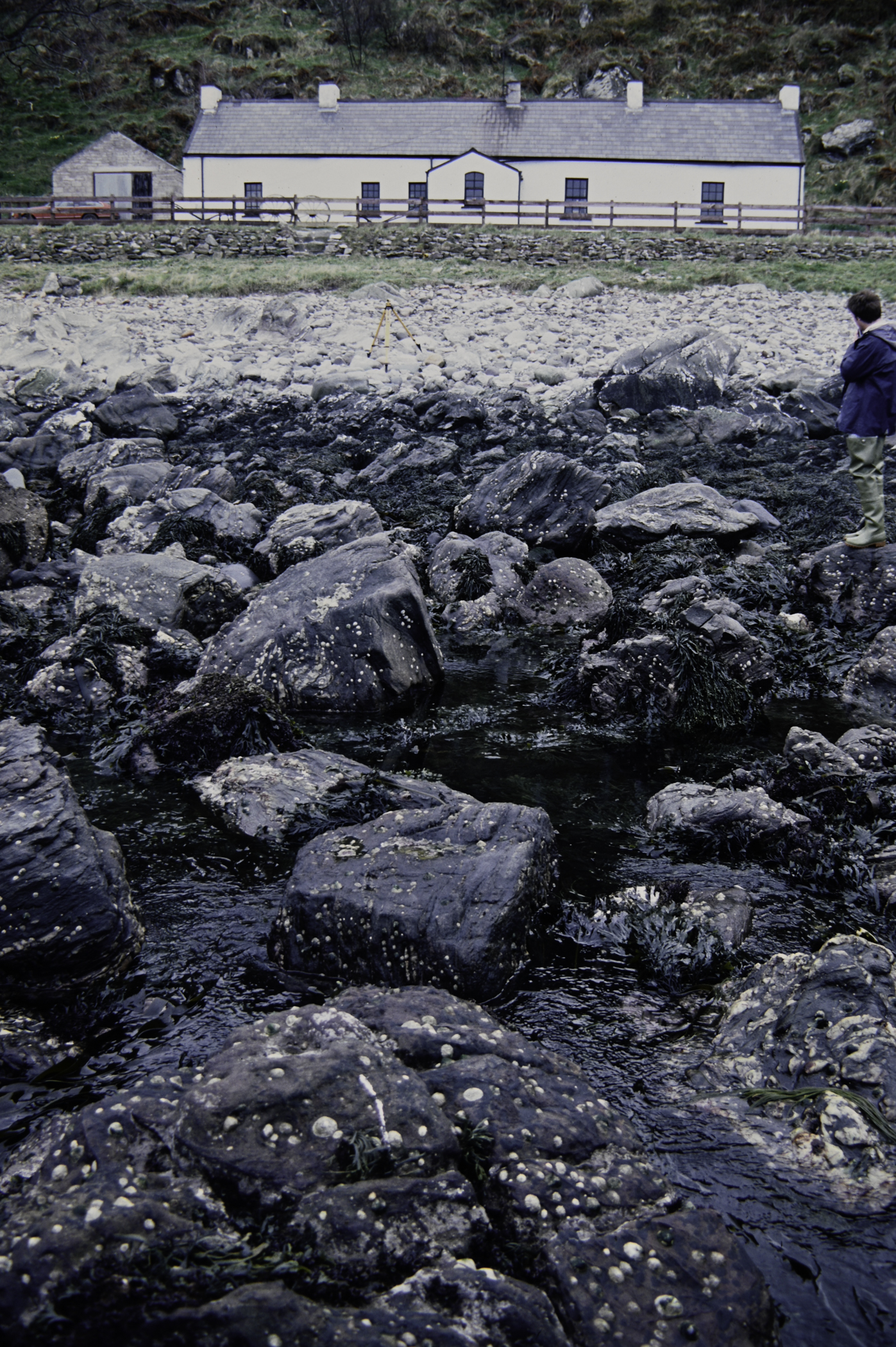 . Site: Murlough Bay, NE Coast. 