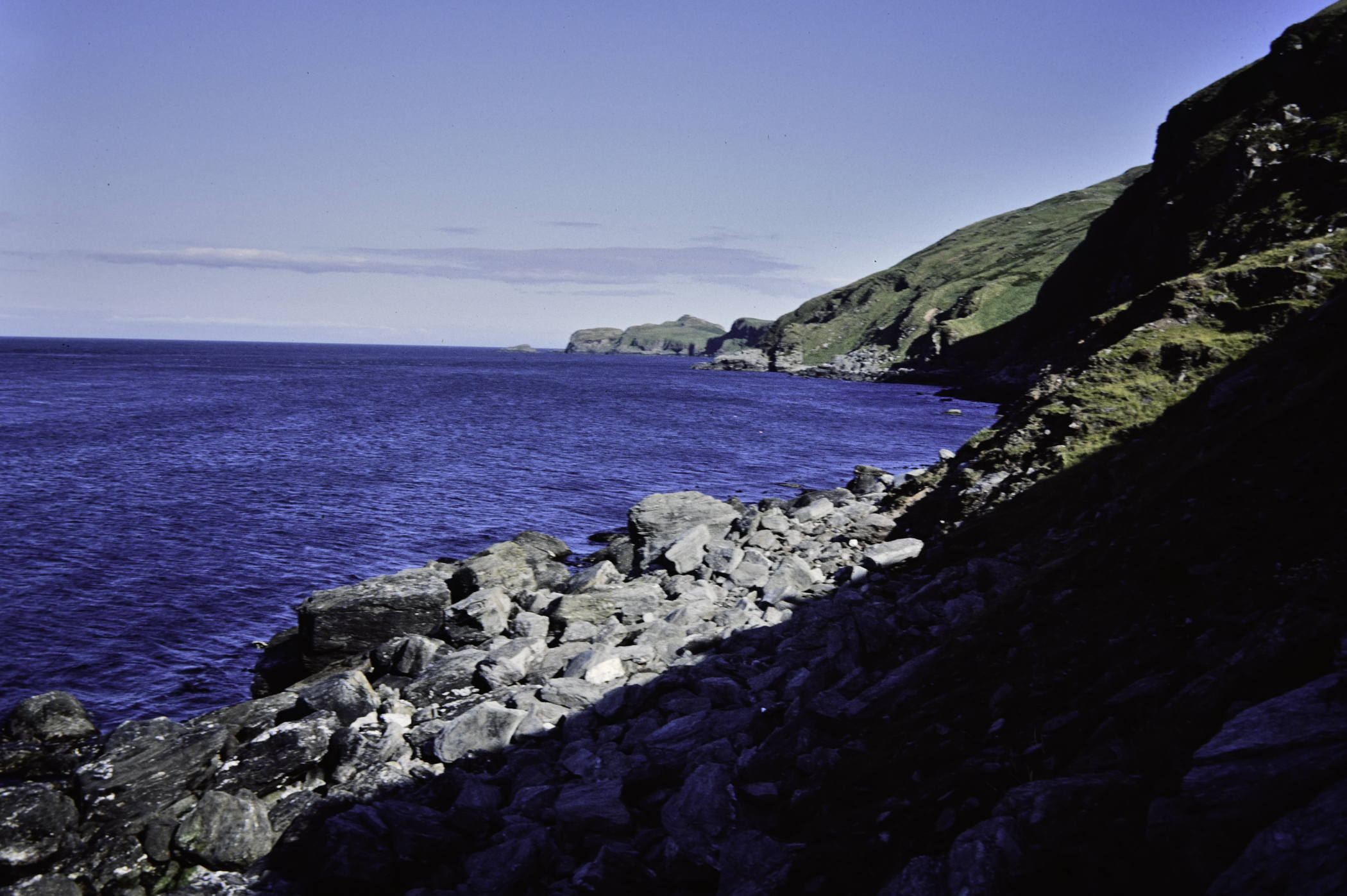 . Site: Rudebane Point, NE Coast. 