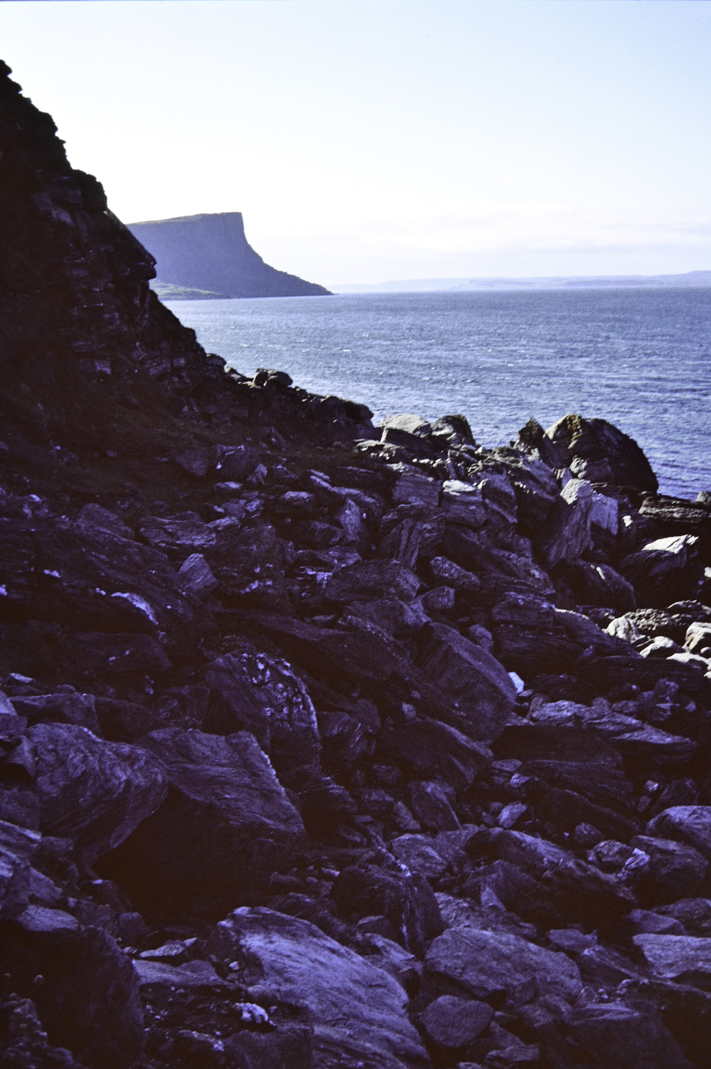 . Site: Rudebane Point, NE Coast. 