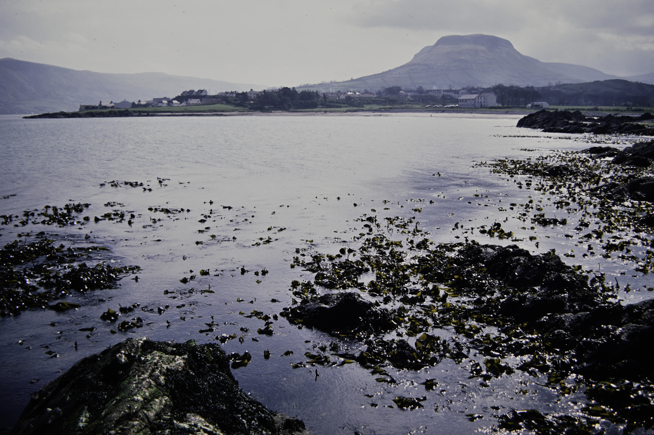 . Site: Port Vinegar, NE Coast. 