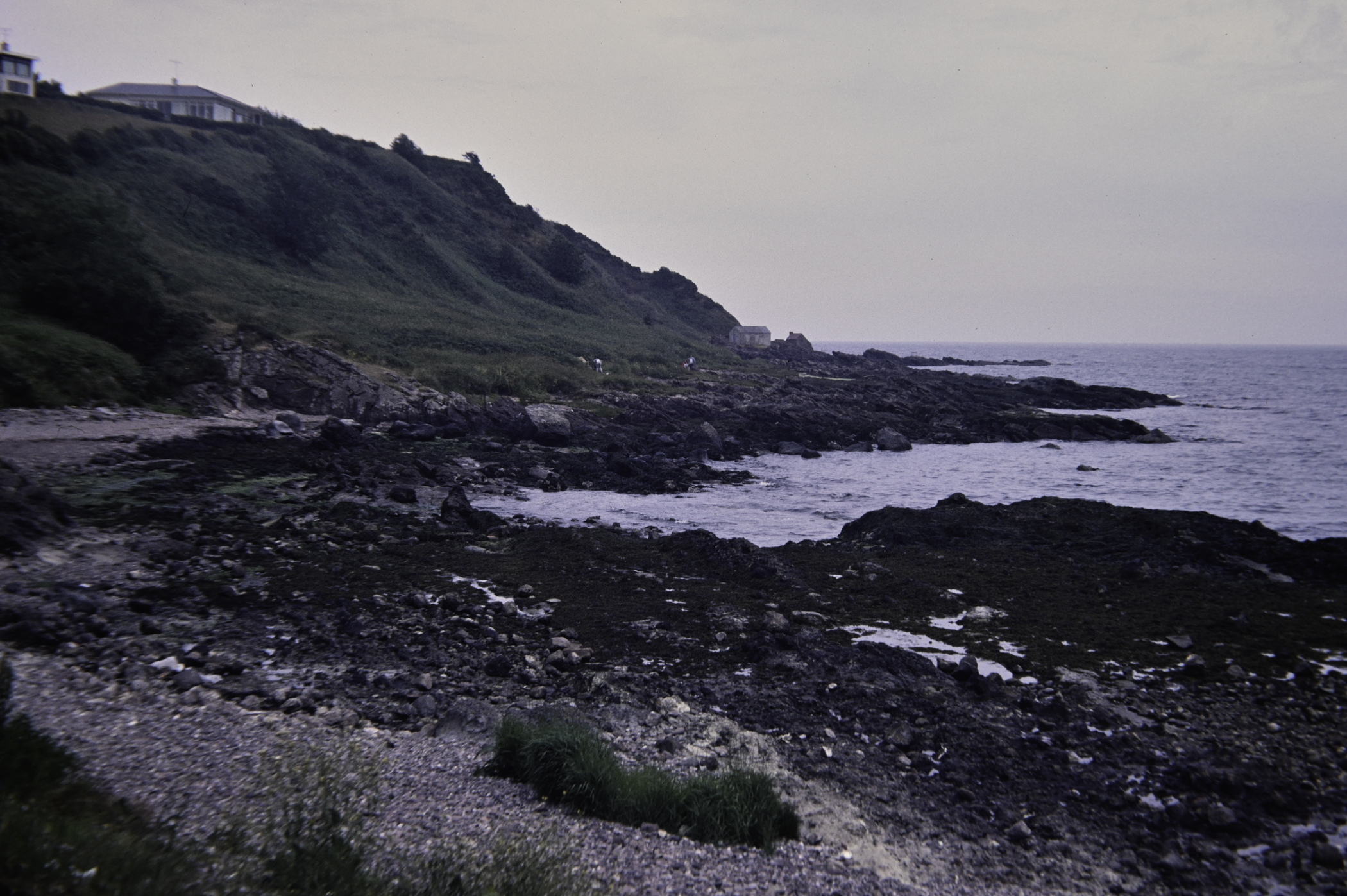 . Site: Port Vinegar, NE Coast. 