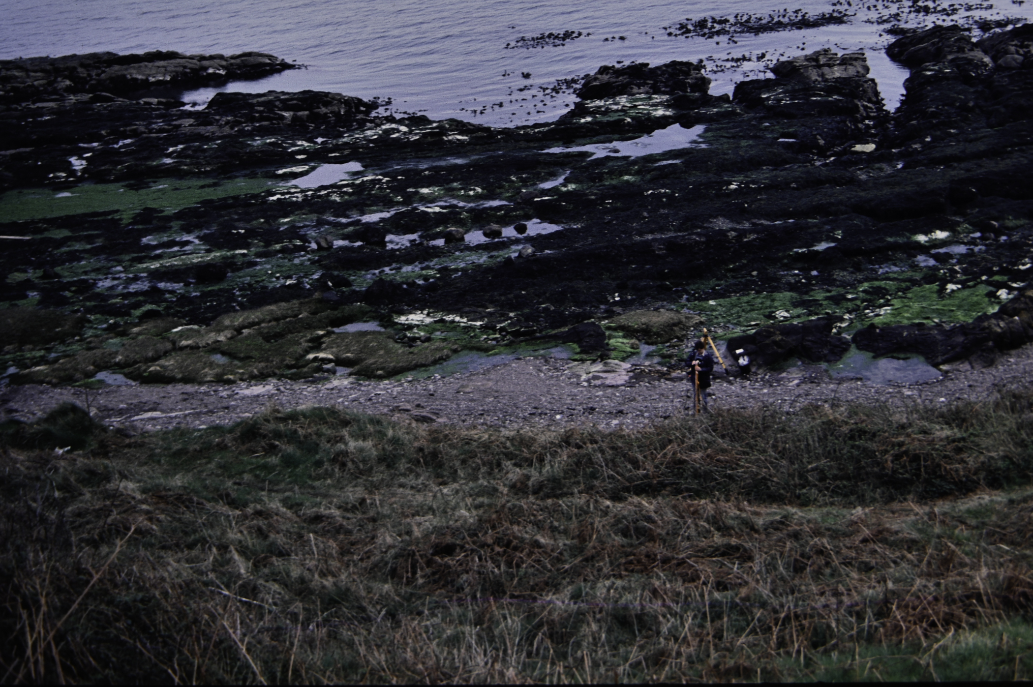 . Site: Port Vinegar, NE Coast. 