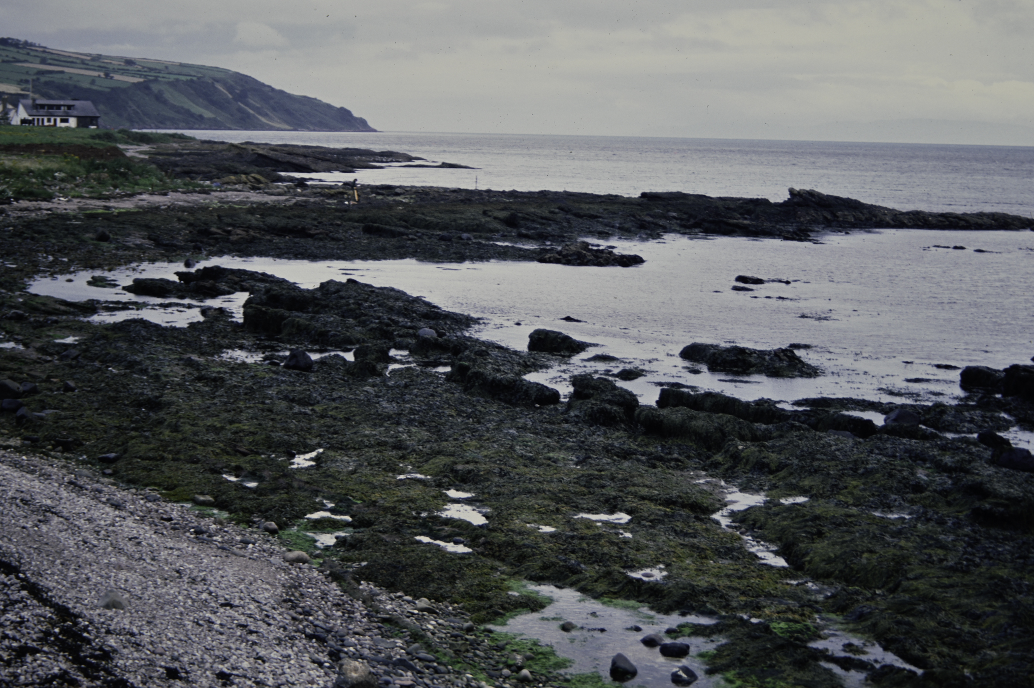 . Site: Red Arch, NE Coast. 