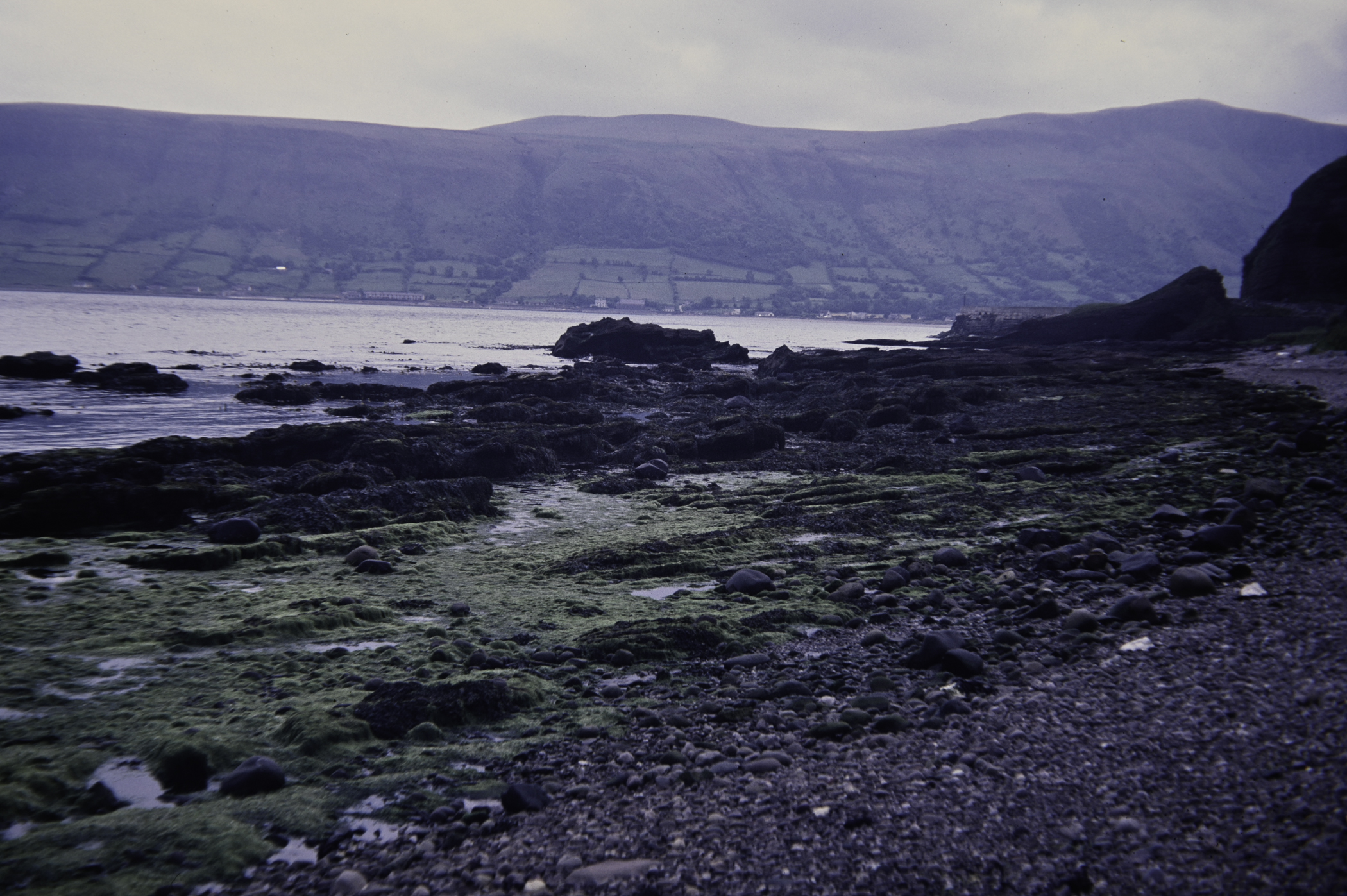 . Site: Red Arch, NE Coast. 