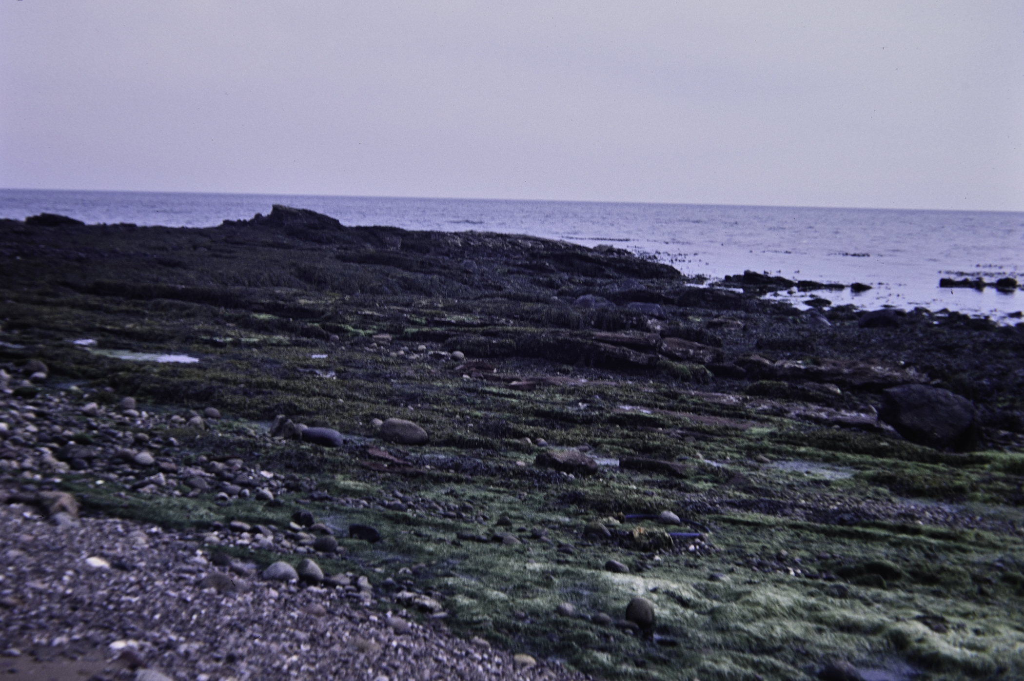 . Site: Red Arch, NE Coast. 