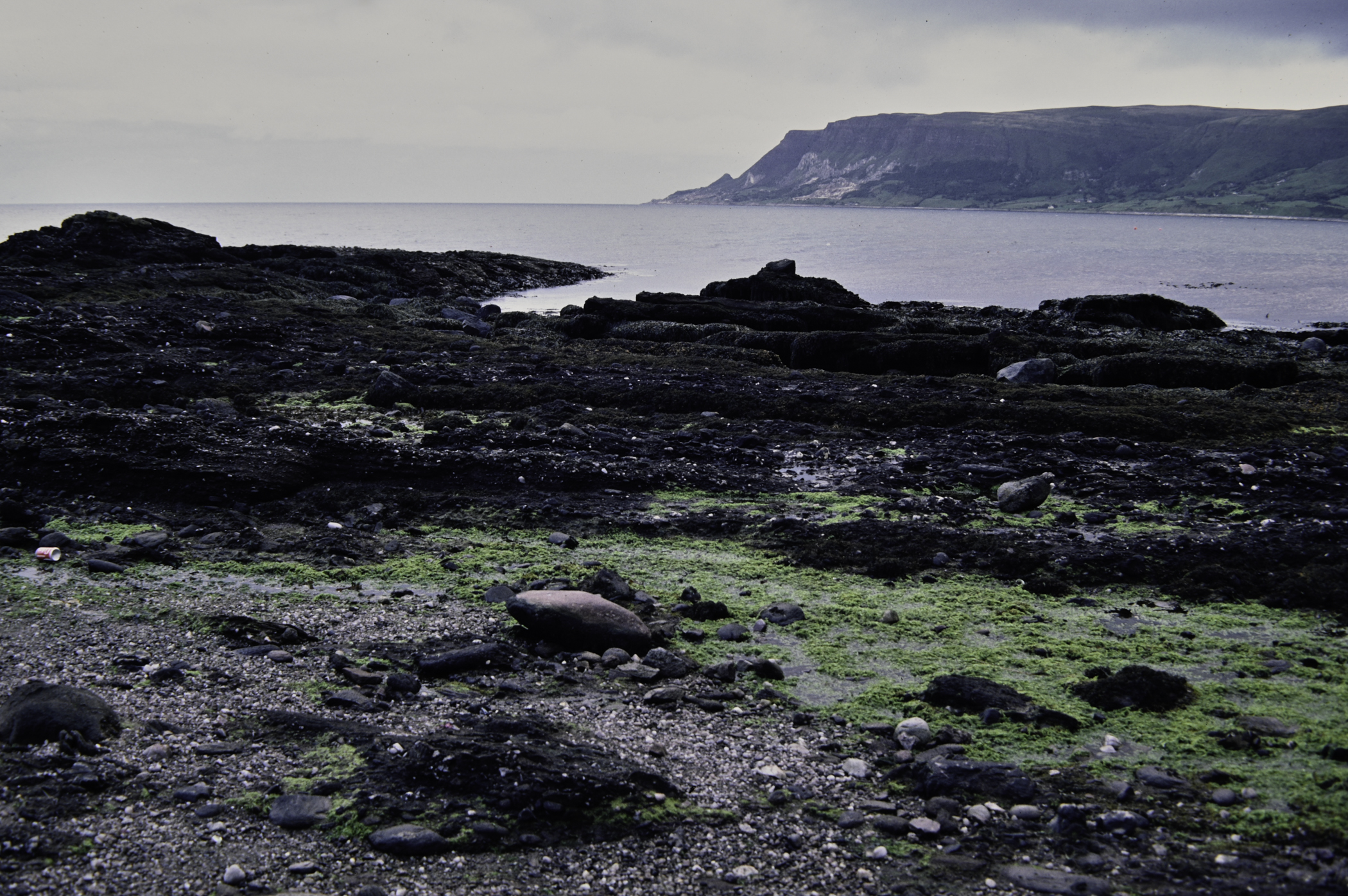 . Site: Red Arch, NE Coast. 