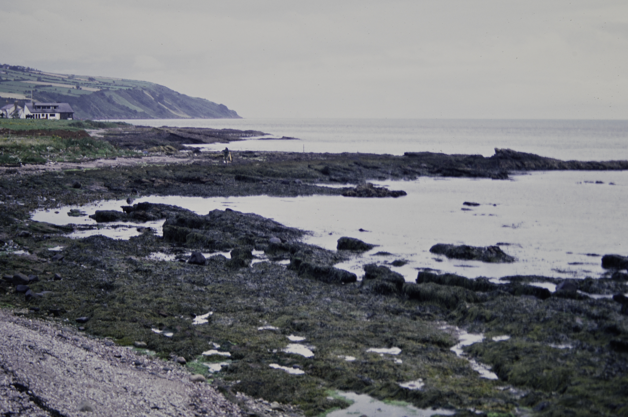 . Site: Red Arch, NE Coast. 