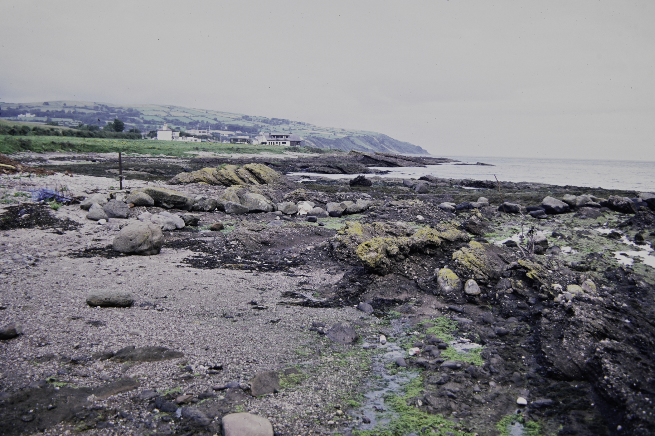 . Site: Red Arch, NE Coast. 