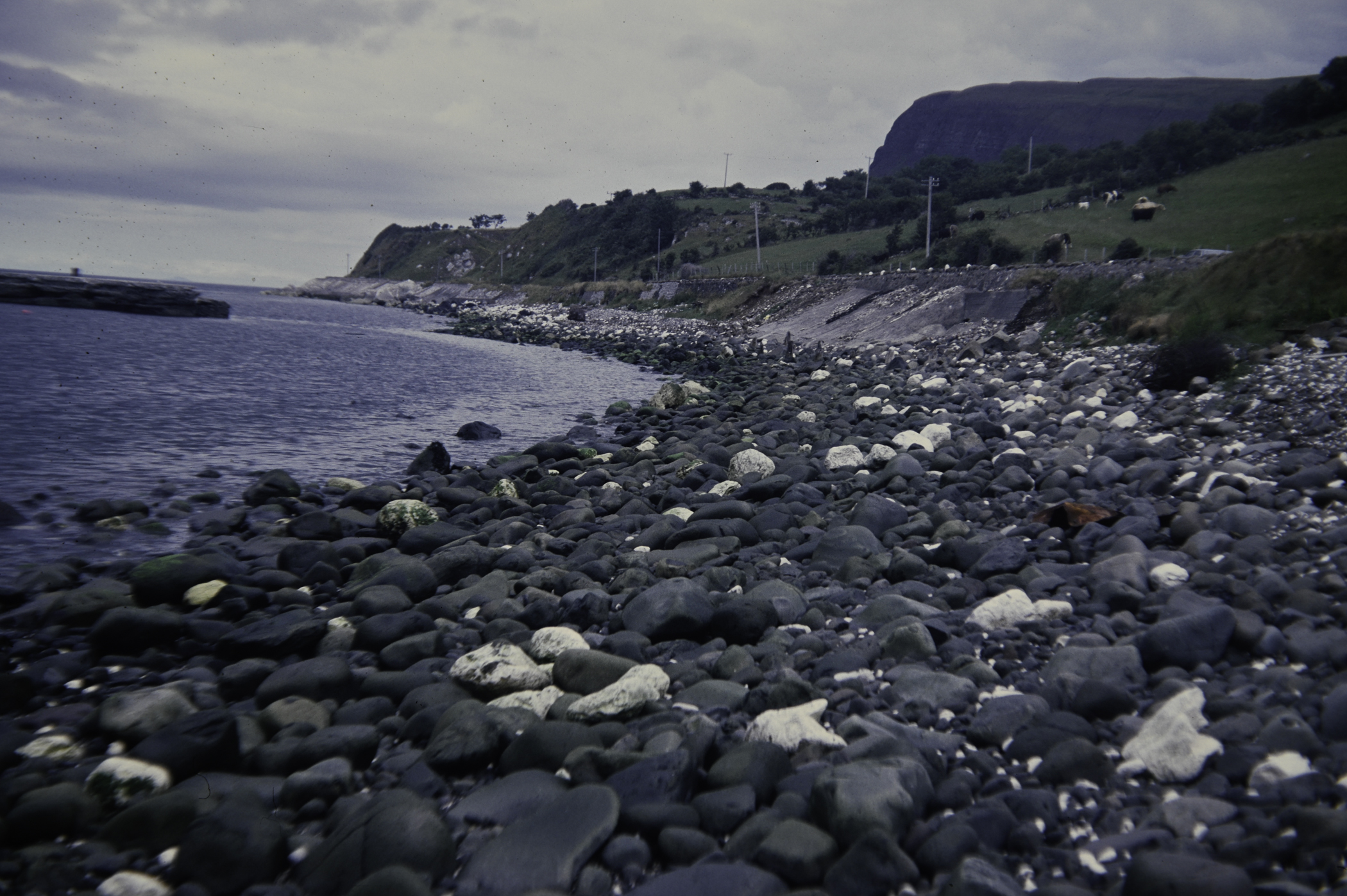 . Site: Old Pier, NE Coast. 