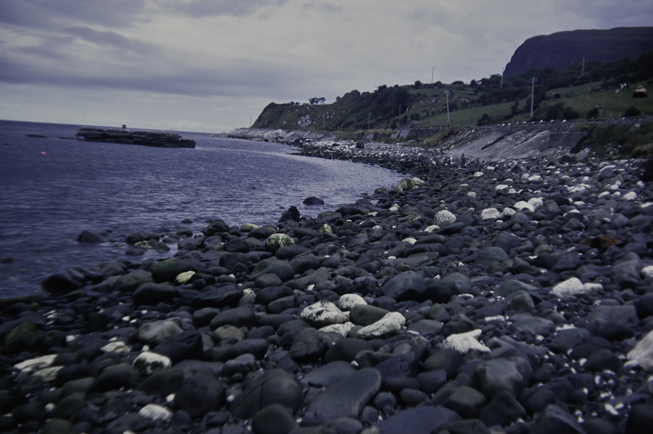 . Site: Old Pier, NE Coast. 