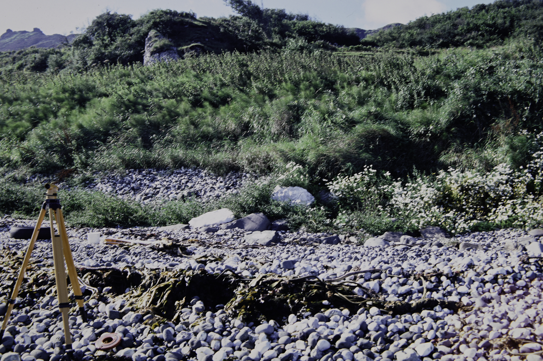 . Site: White Lady (east), NE Coast. 