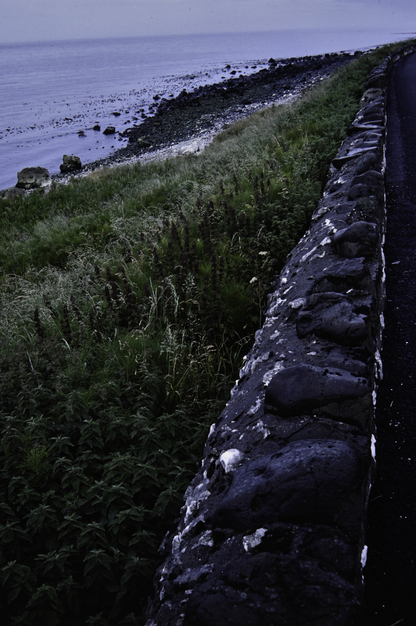 . Site: White Lady (east), NE Coast. 