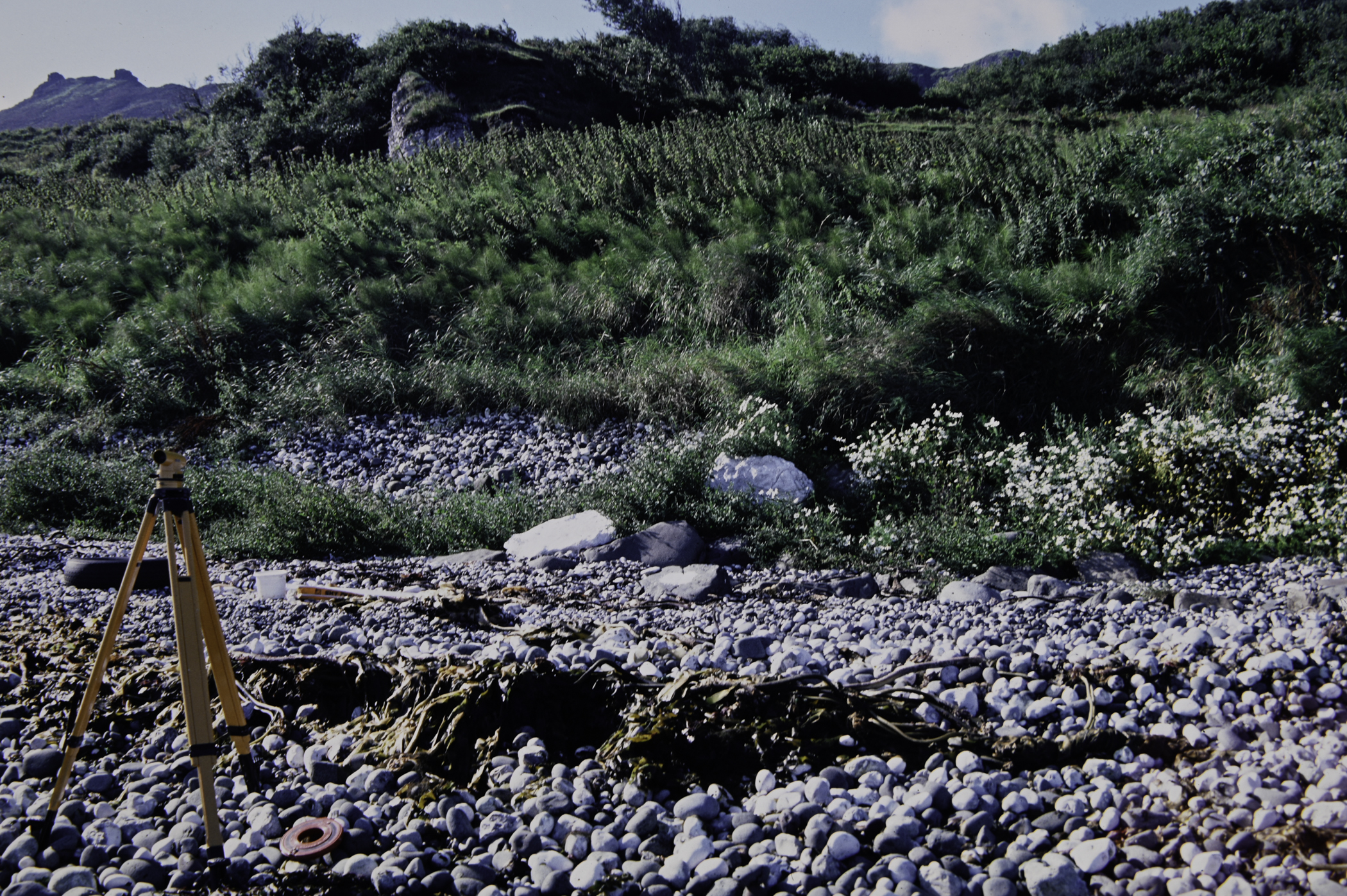 . Site: White Lady (east), NE Coast. 