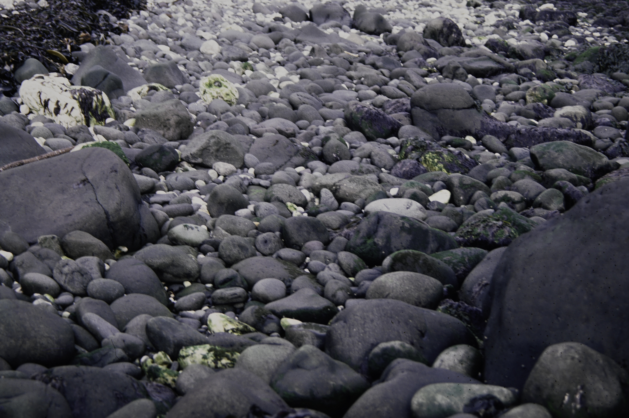 . Site: White Lady (east), NE Coast. 