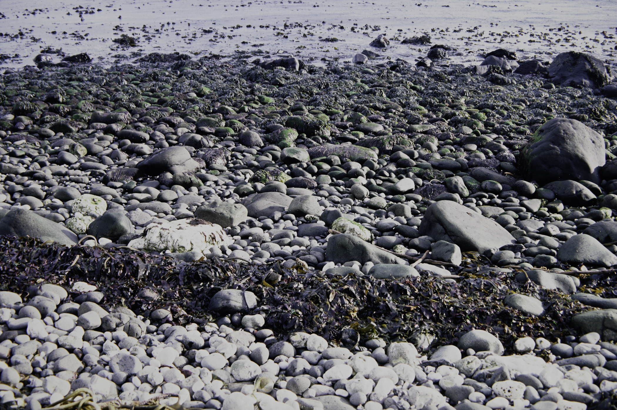 . Site: White Lady (east), NE Coast. 