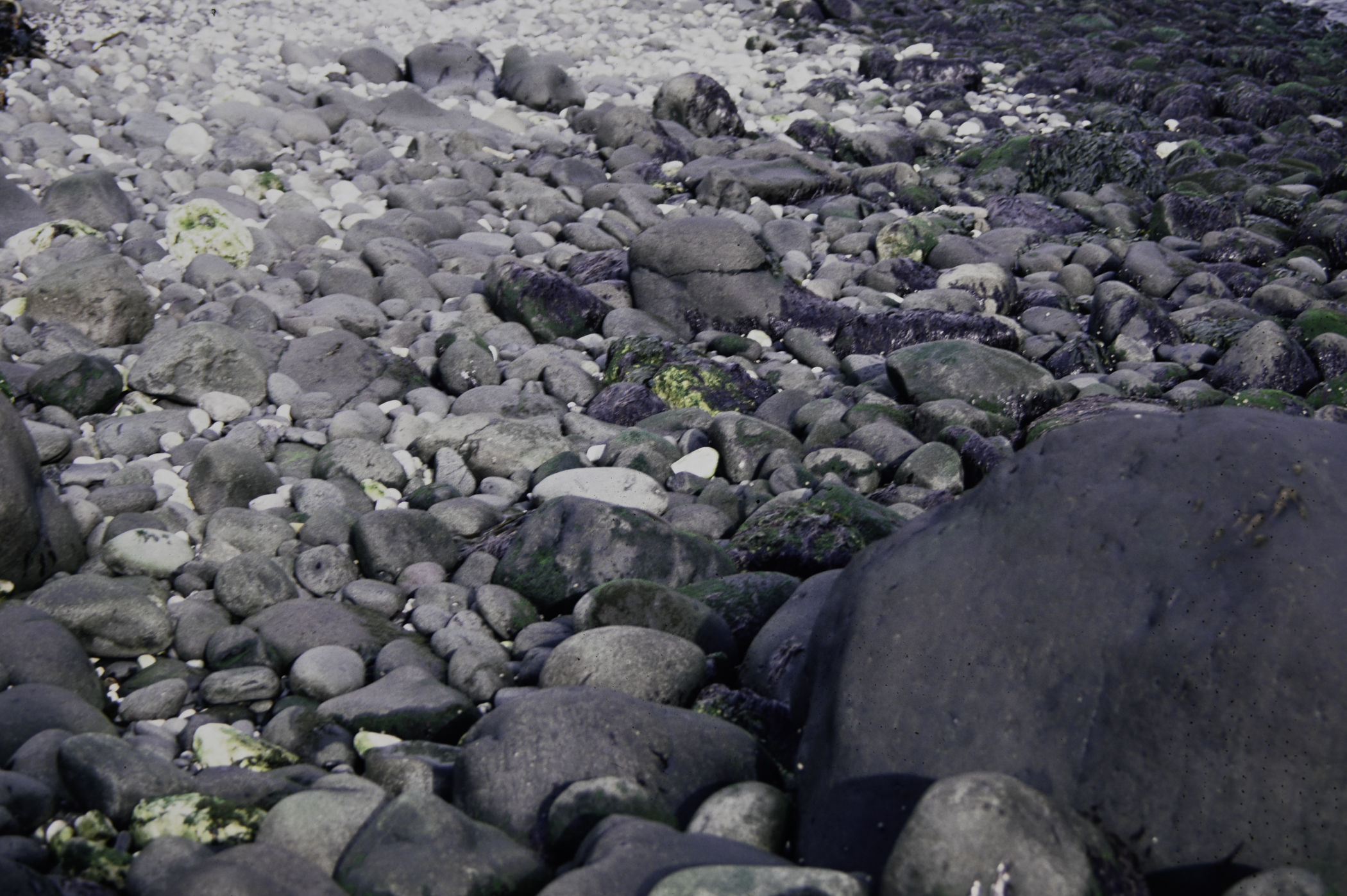 . Site: White Lady (east), NE Coast. 