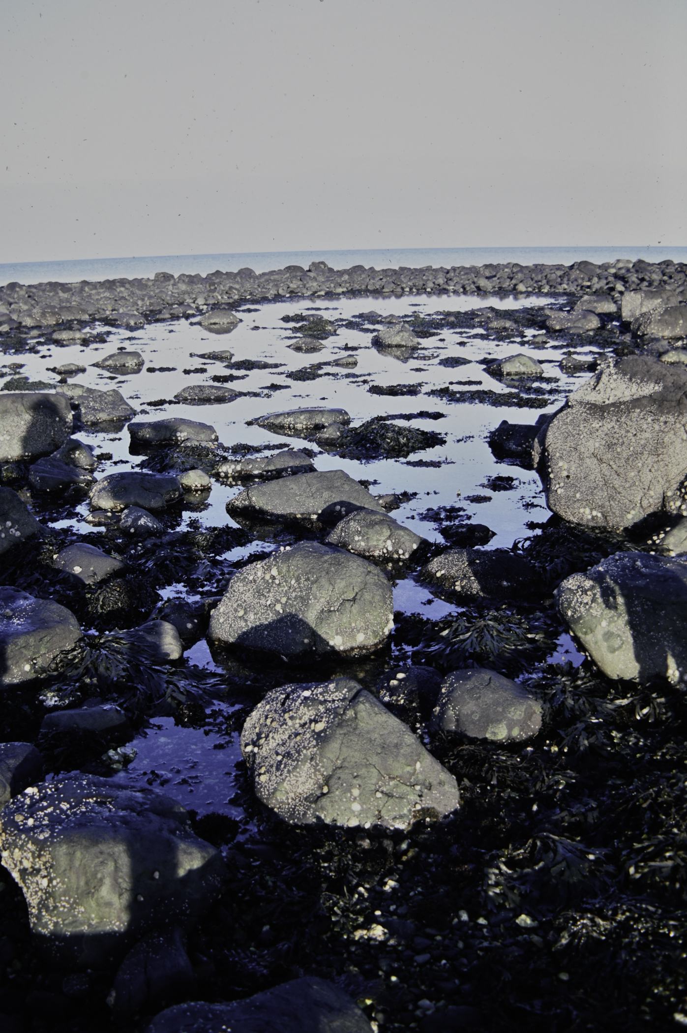 . Site: Ringfad, NE Coast. 