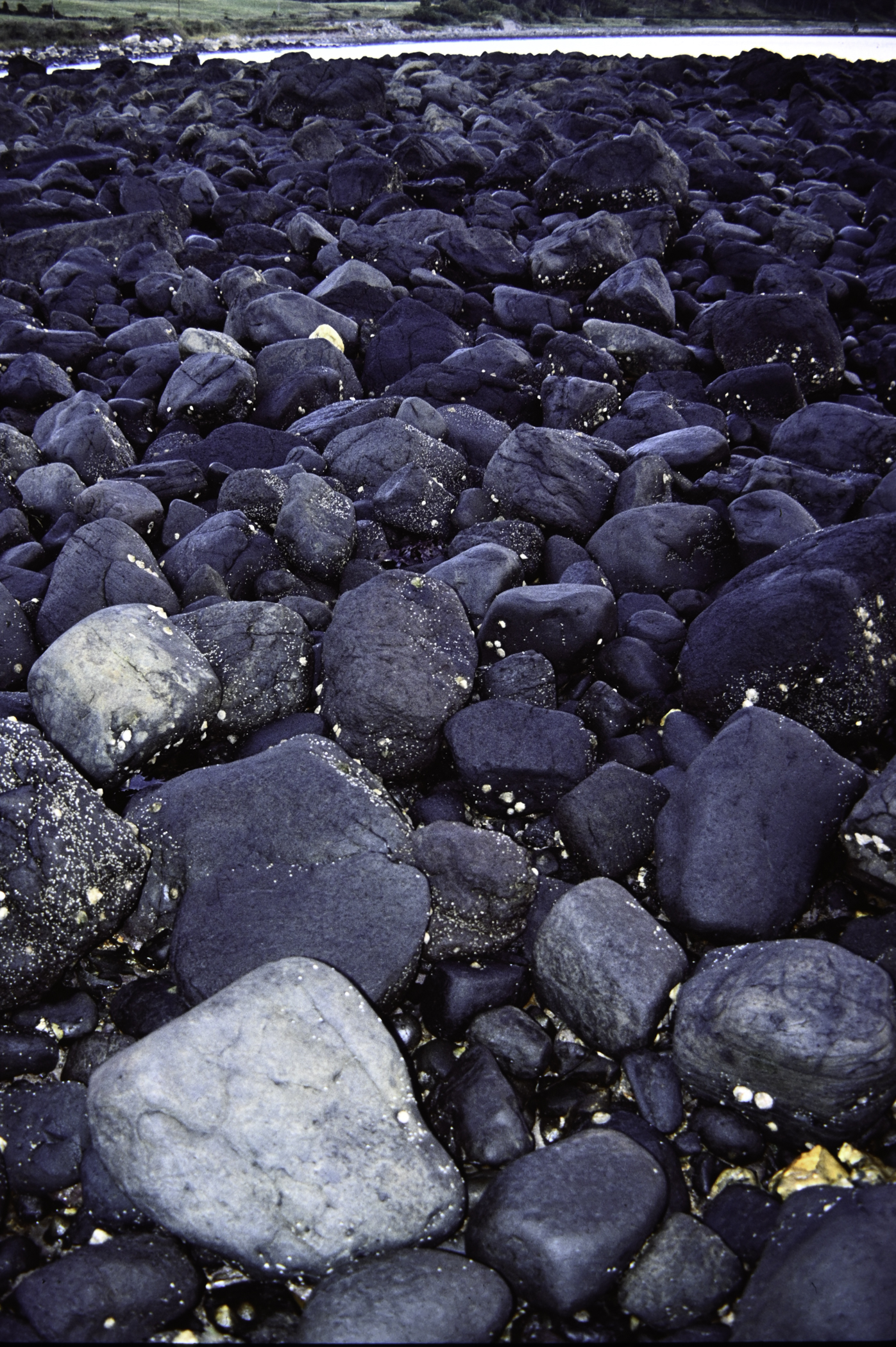 . Site: Ringfad, NE Coast. 