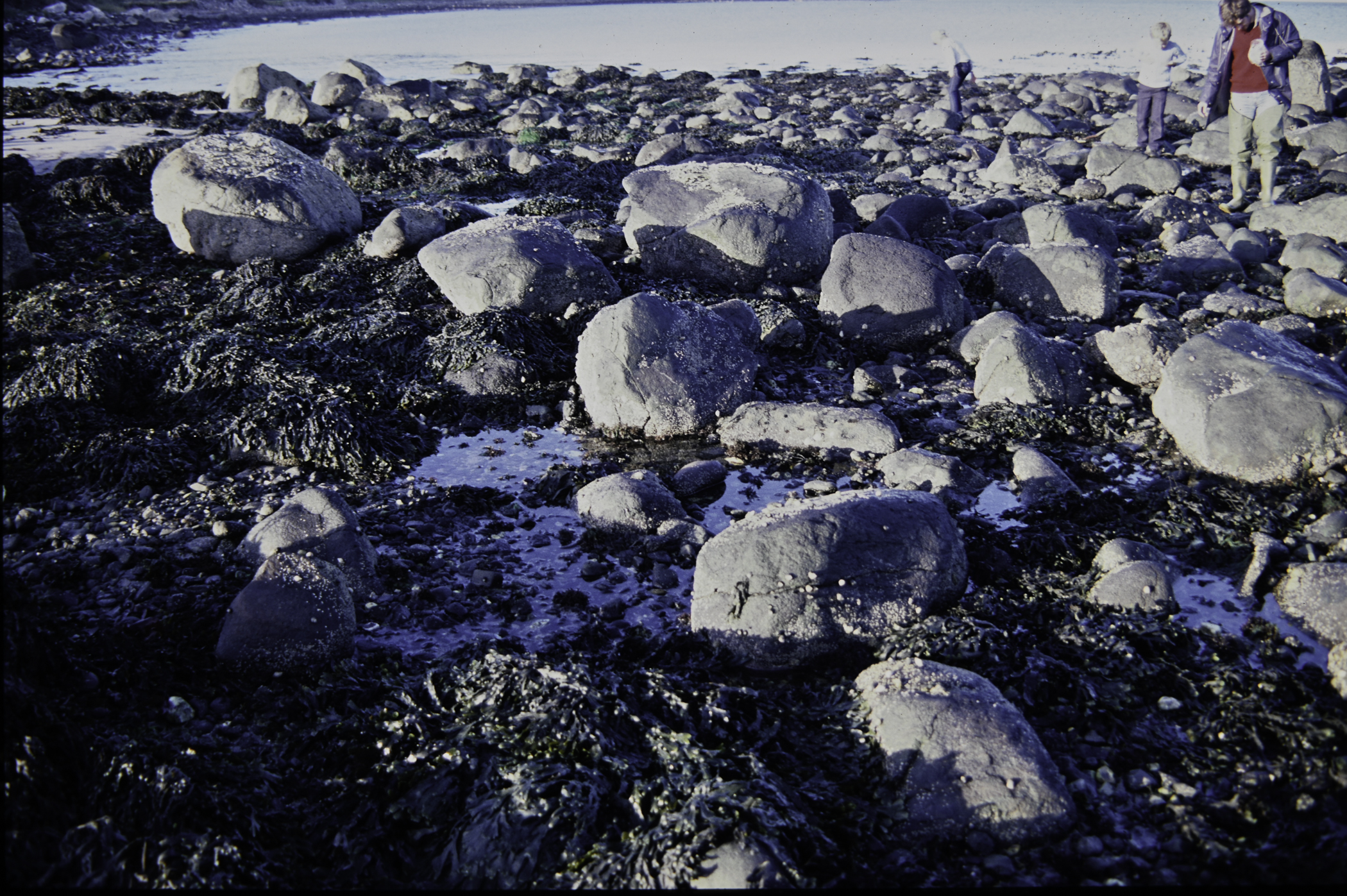 . Site: Ringfad, NE Coast. 