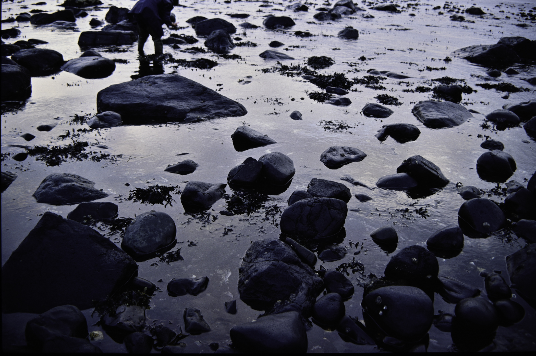 . Site: Ringfad, NE Coast. 