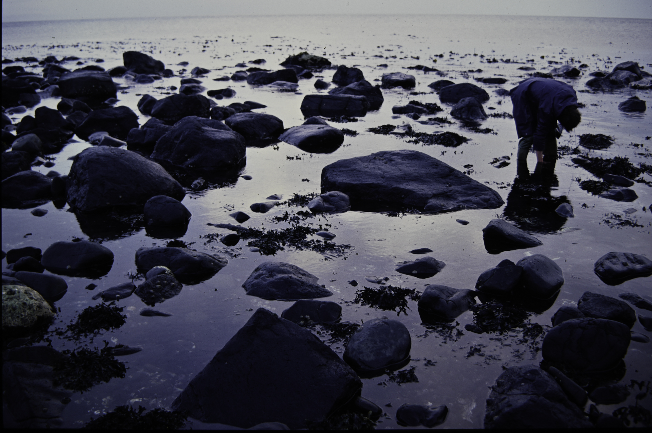 . Site: Ringfad, NE Coast. 