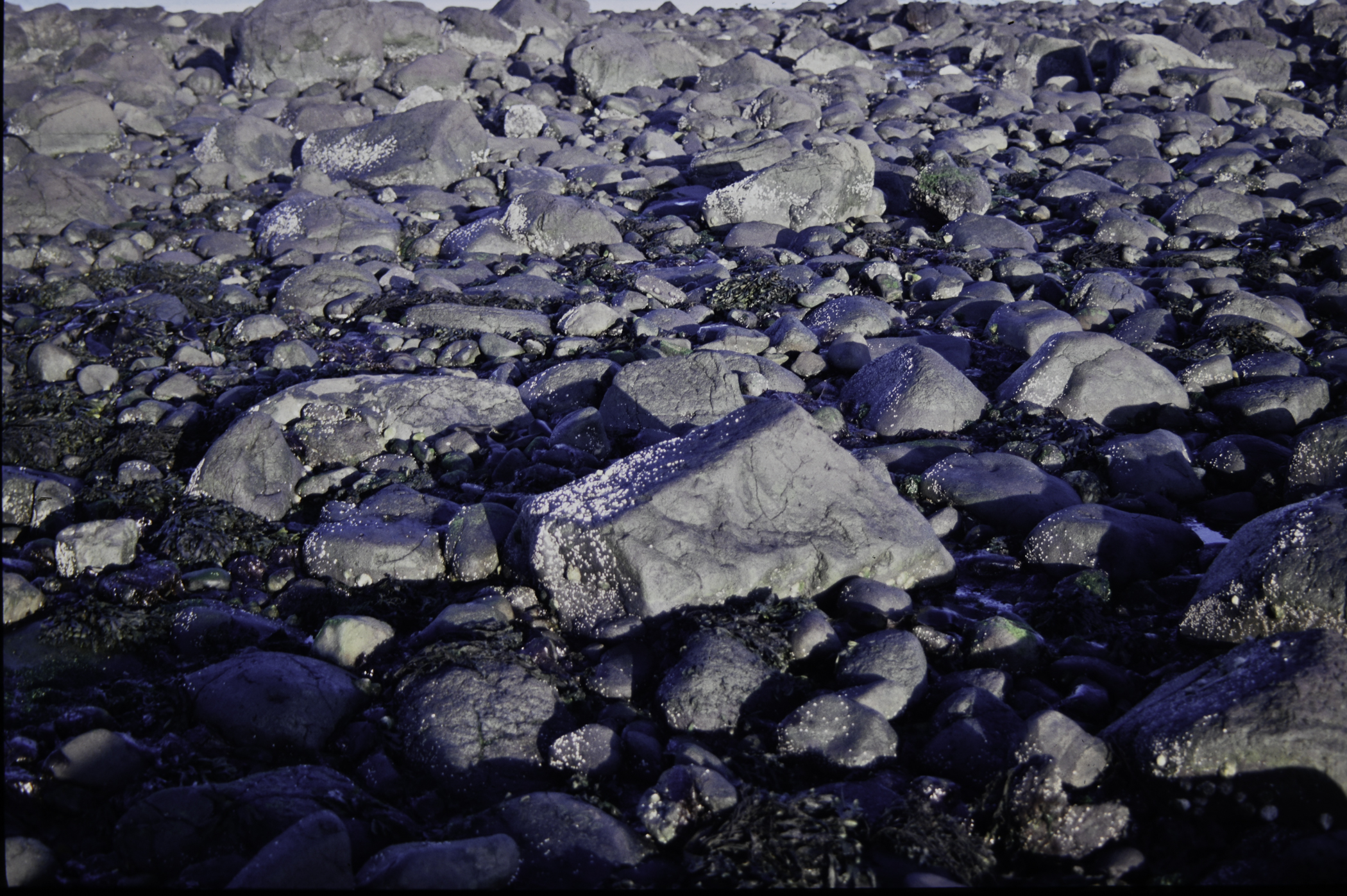 . Site: Ringfad, NE Coast. 