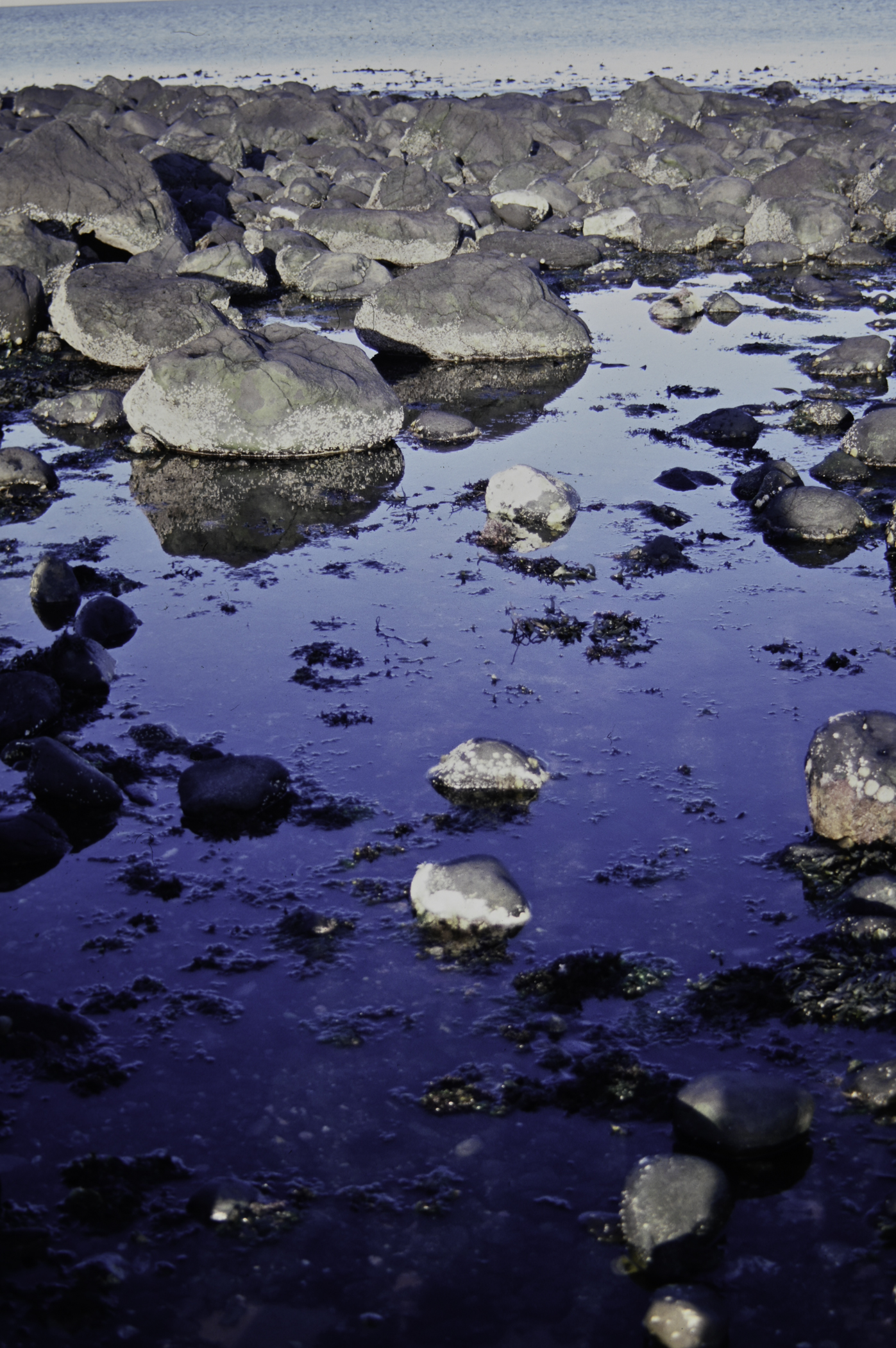 . Site: Ringfad, NE Coast. 