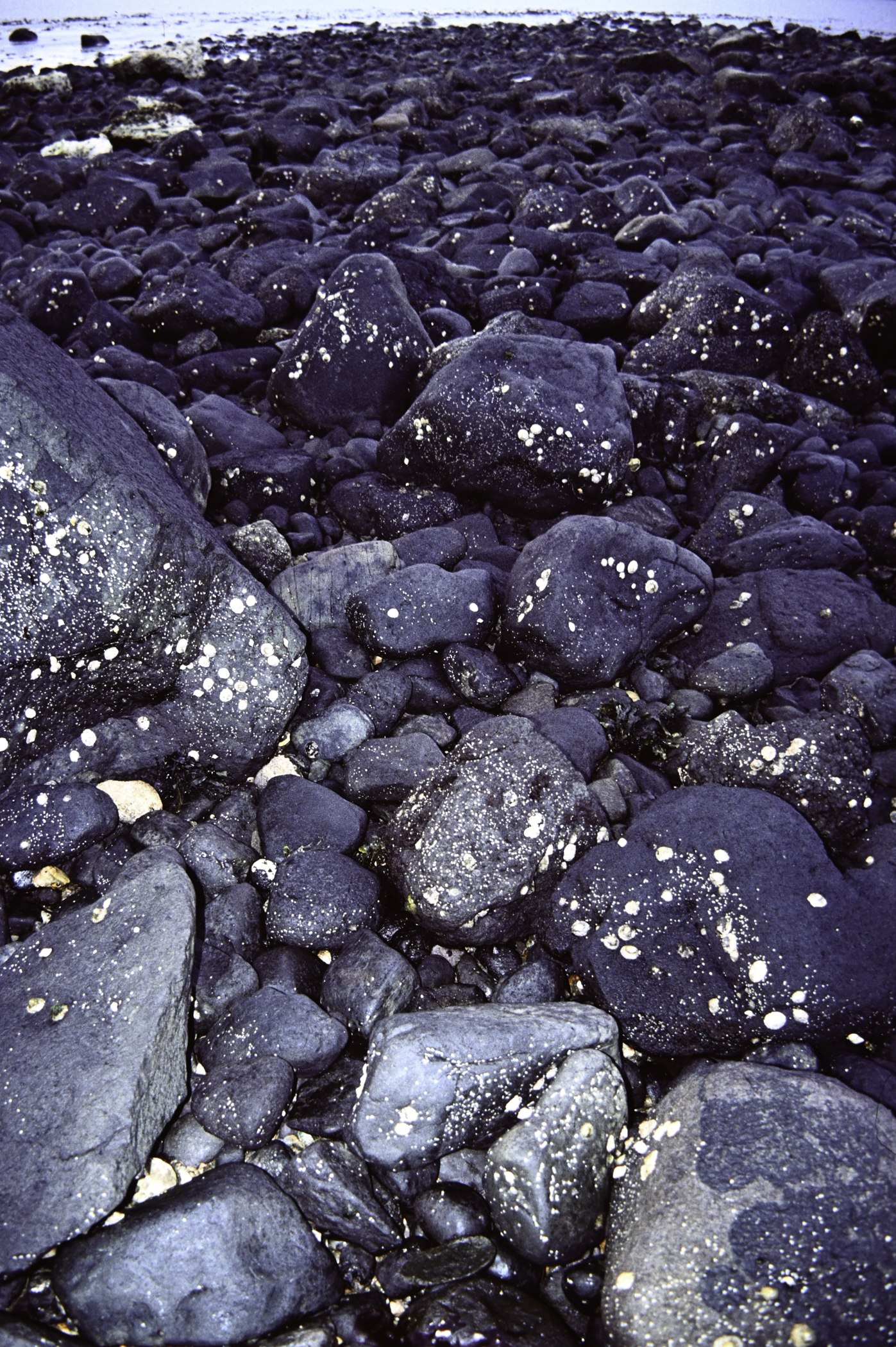 . Site: Ringfad, NE Coast. 