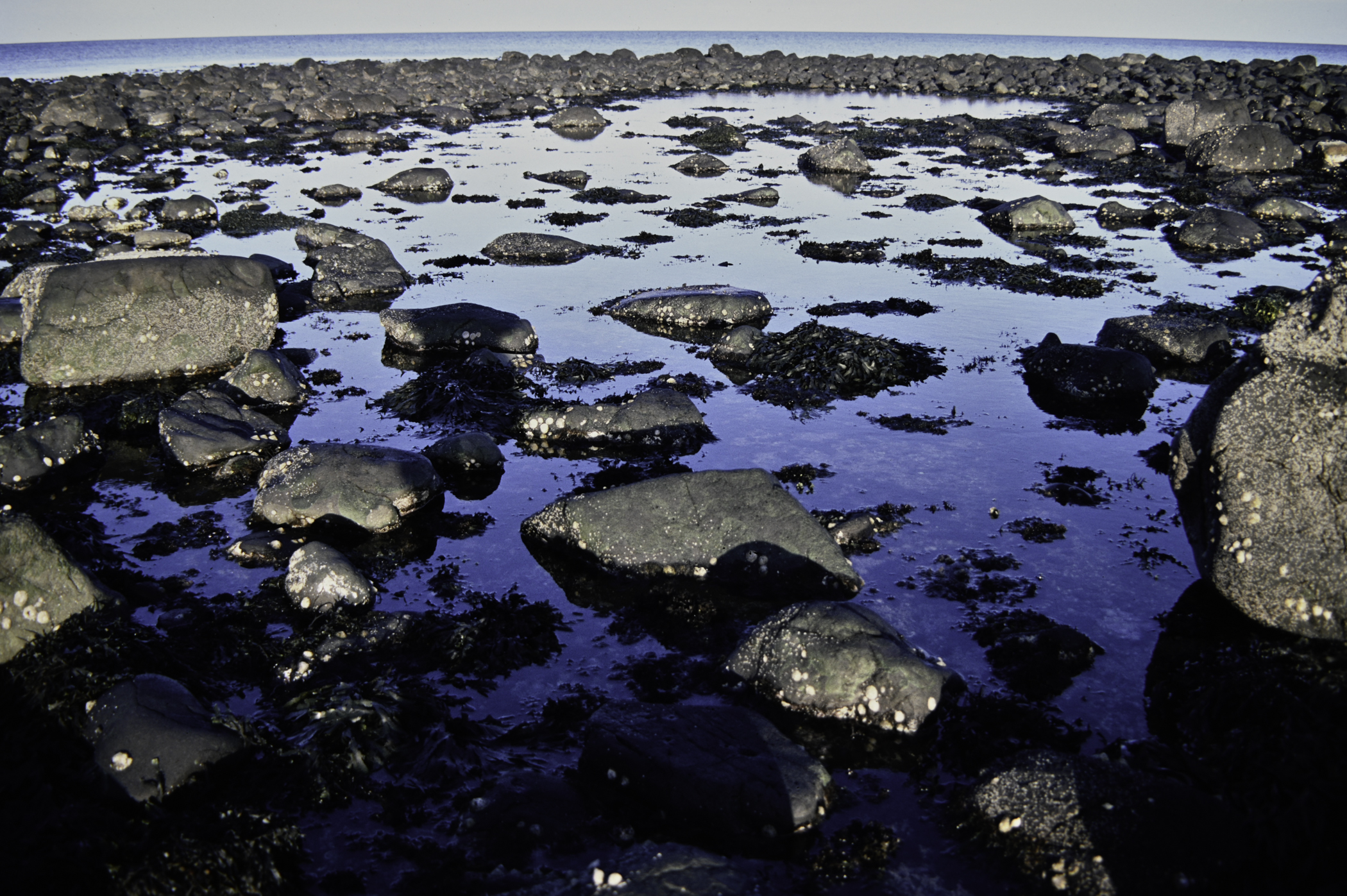 . Site: Ringfad, NE Coast. 