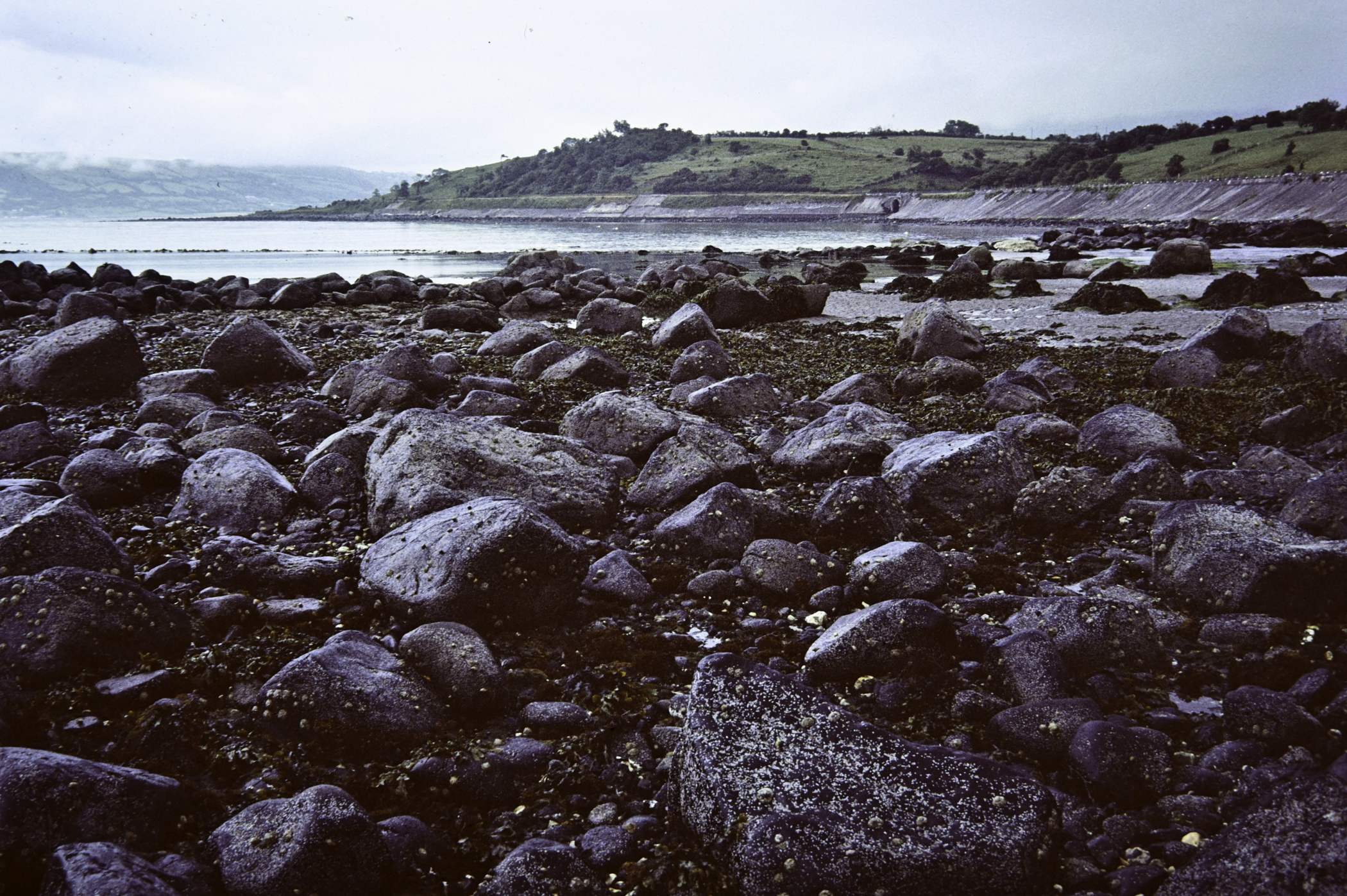 . Site: Ringfad, NE Coast. 