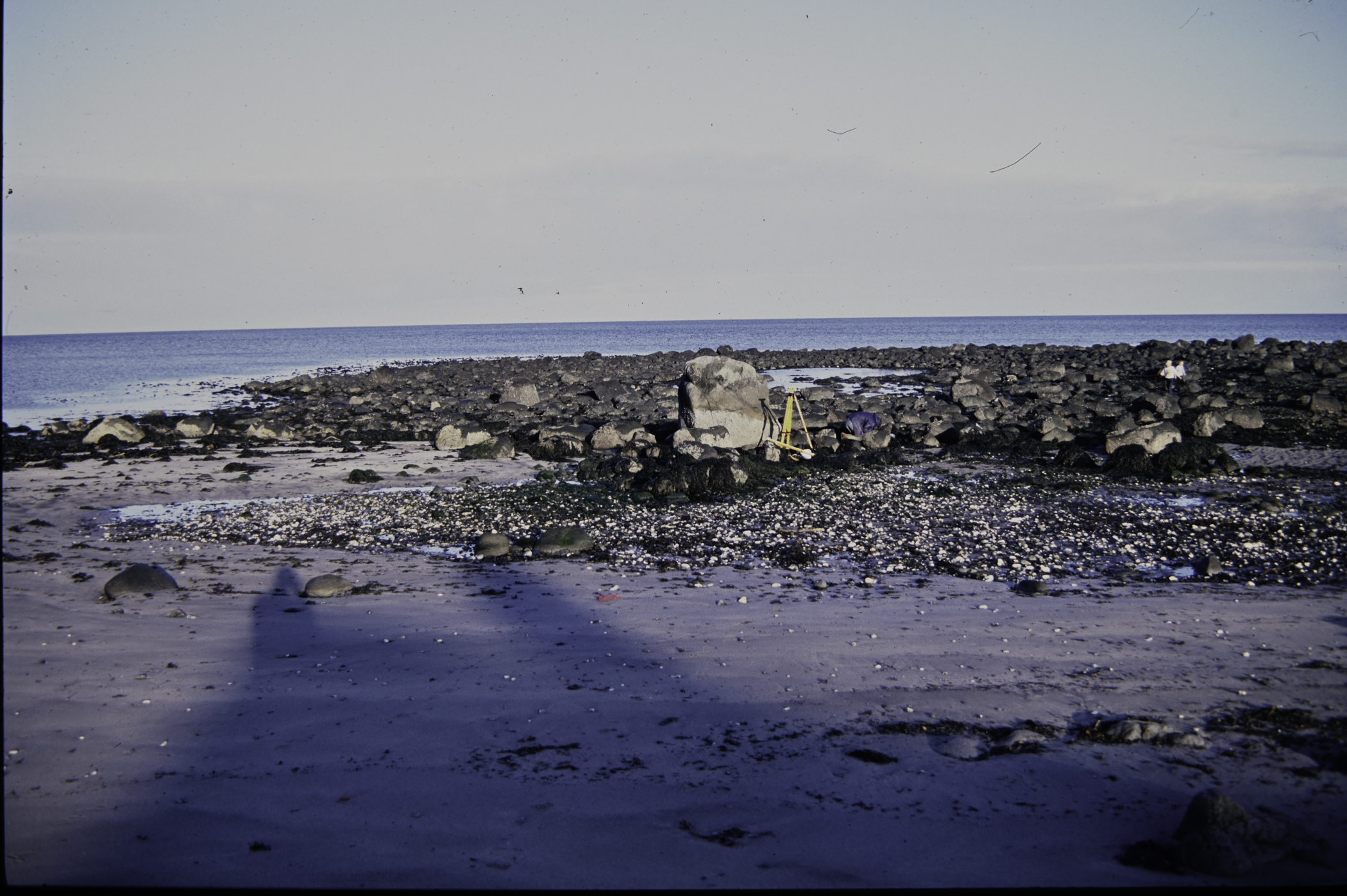 . Site: Ringfad, NE Coast. 