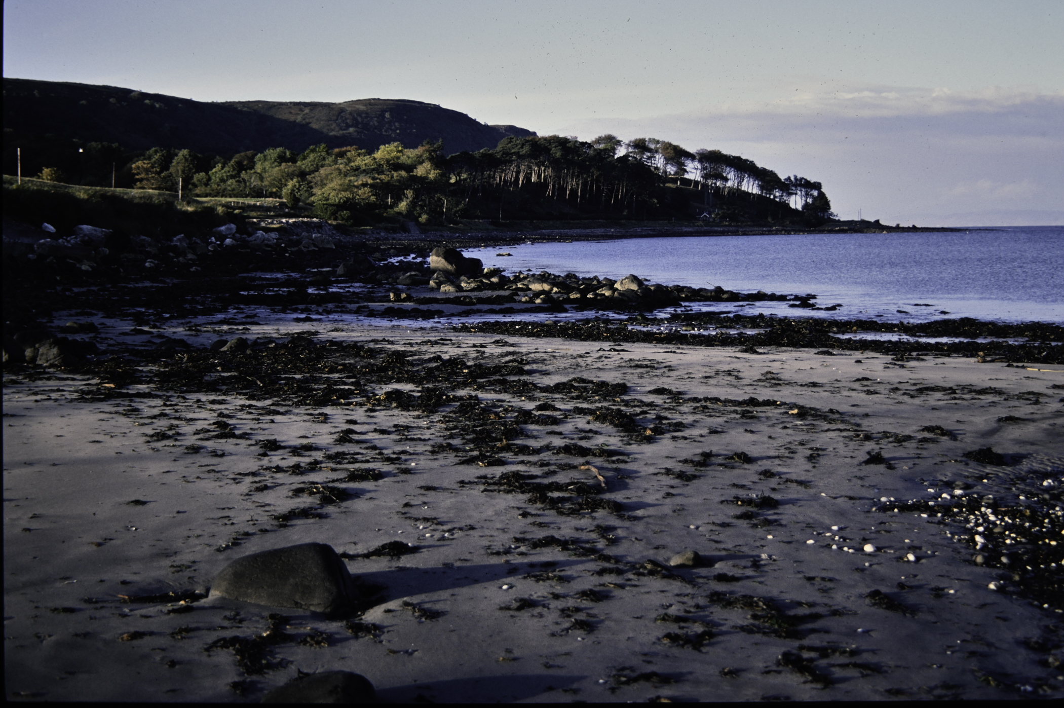 . Site: Ringfad, NE Coast. 