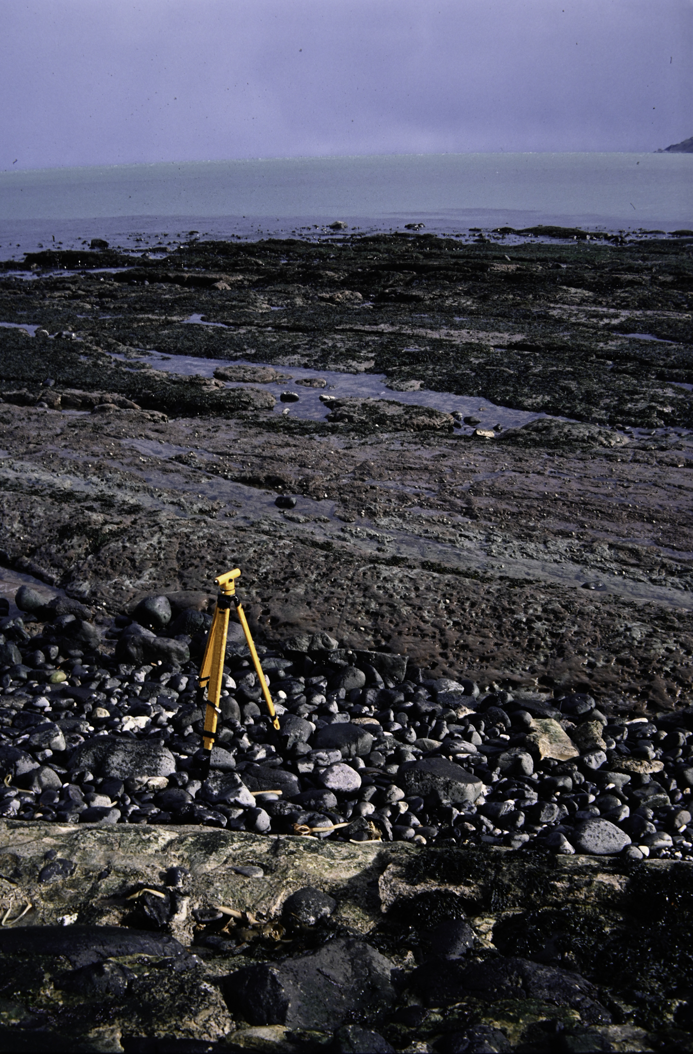 . Site: Campbeltown, NE Coast. 