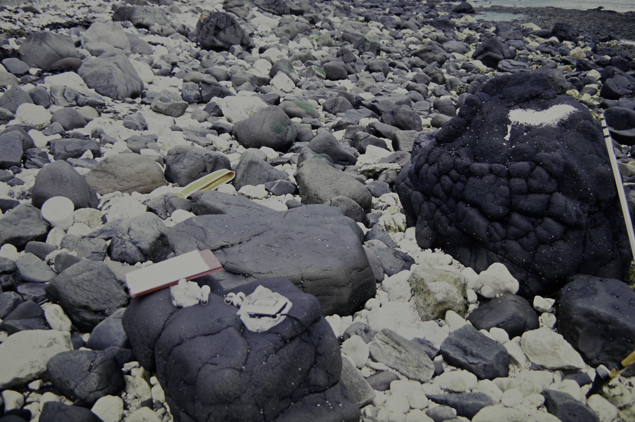 . Site: Straidkilly Point, NE Coast. 