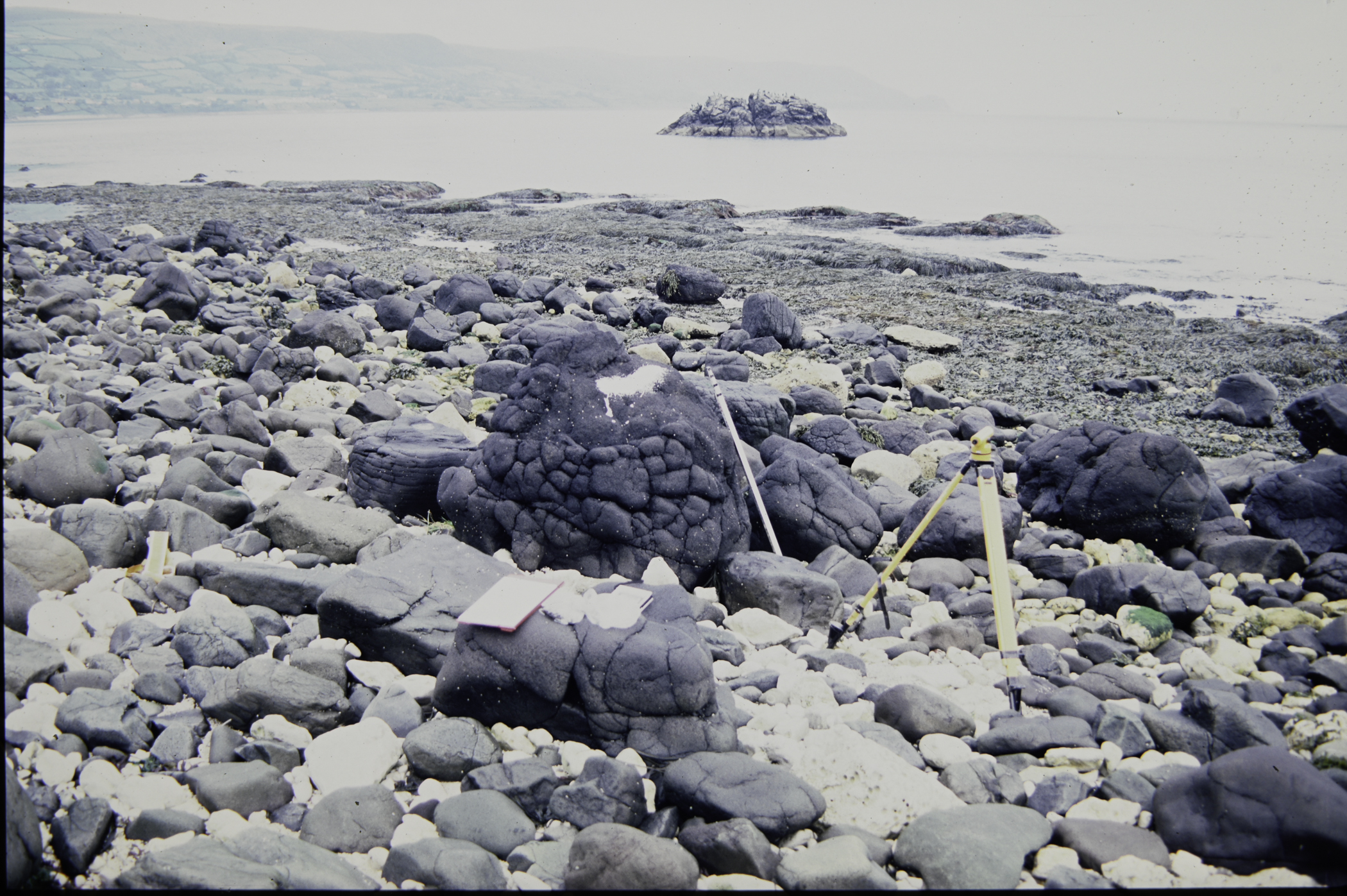 . Site: Straidkilly Point, NE Coast. 