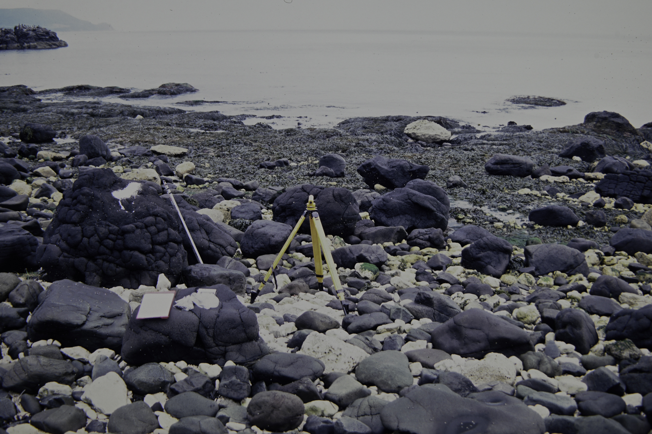 . Site: Straidkilly Point, NE Coast. 