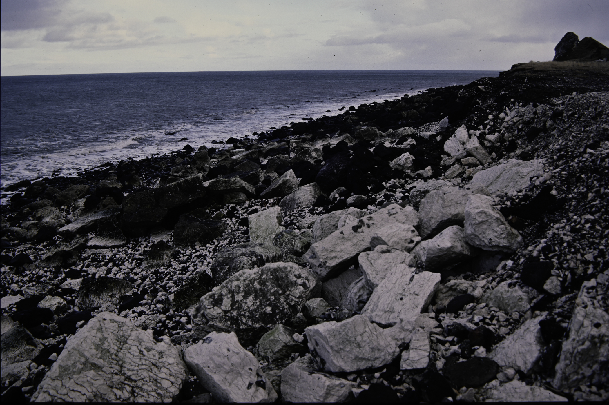 . Site: Whitebay Point, NE Coast. 