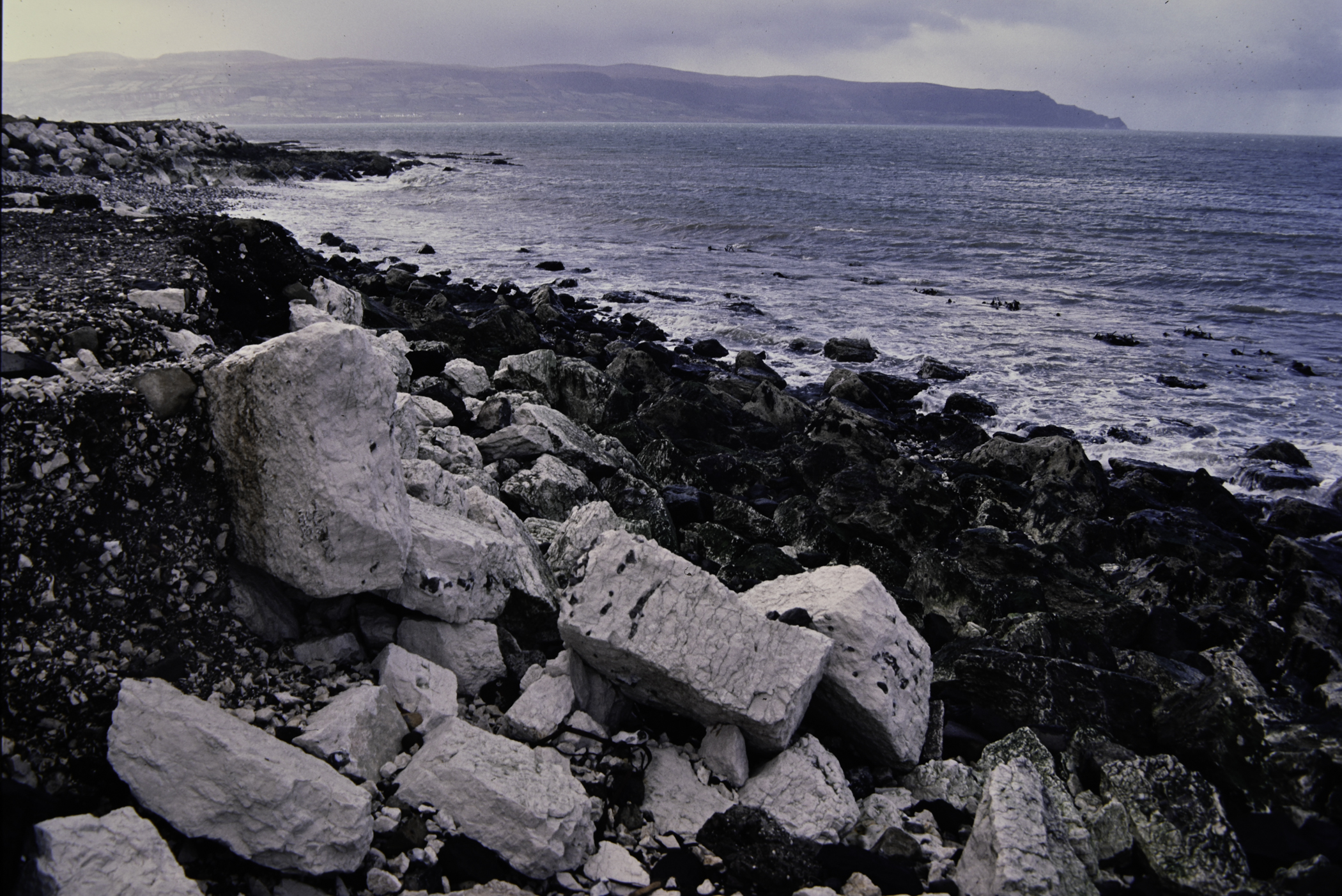 . Site: Whitebay Point, NE Coast. 