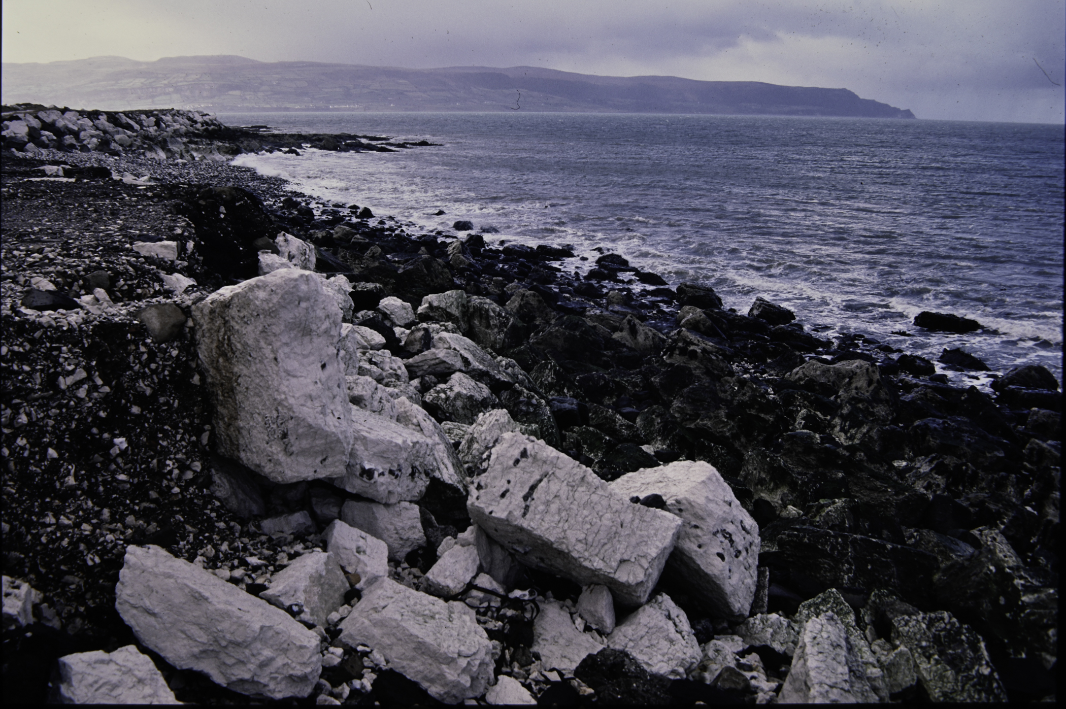 . Site: Whitebay Point, NE Coast. 