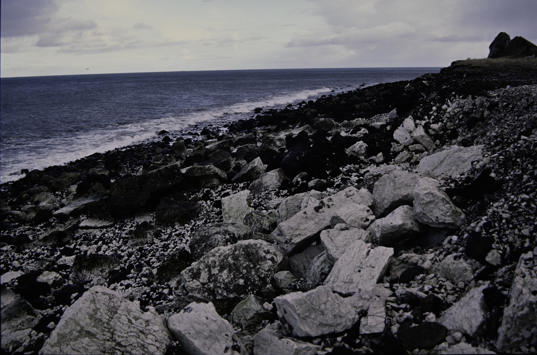 . Site: Whitebay Point, NE Coast. 