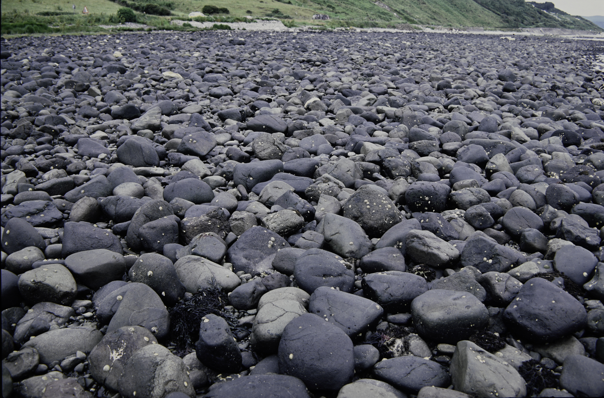 . Site: Drumnagreagh Port, NE Coast. 