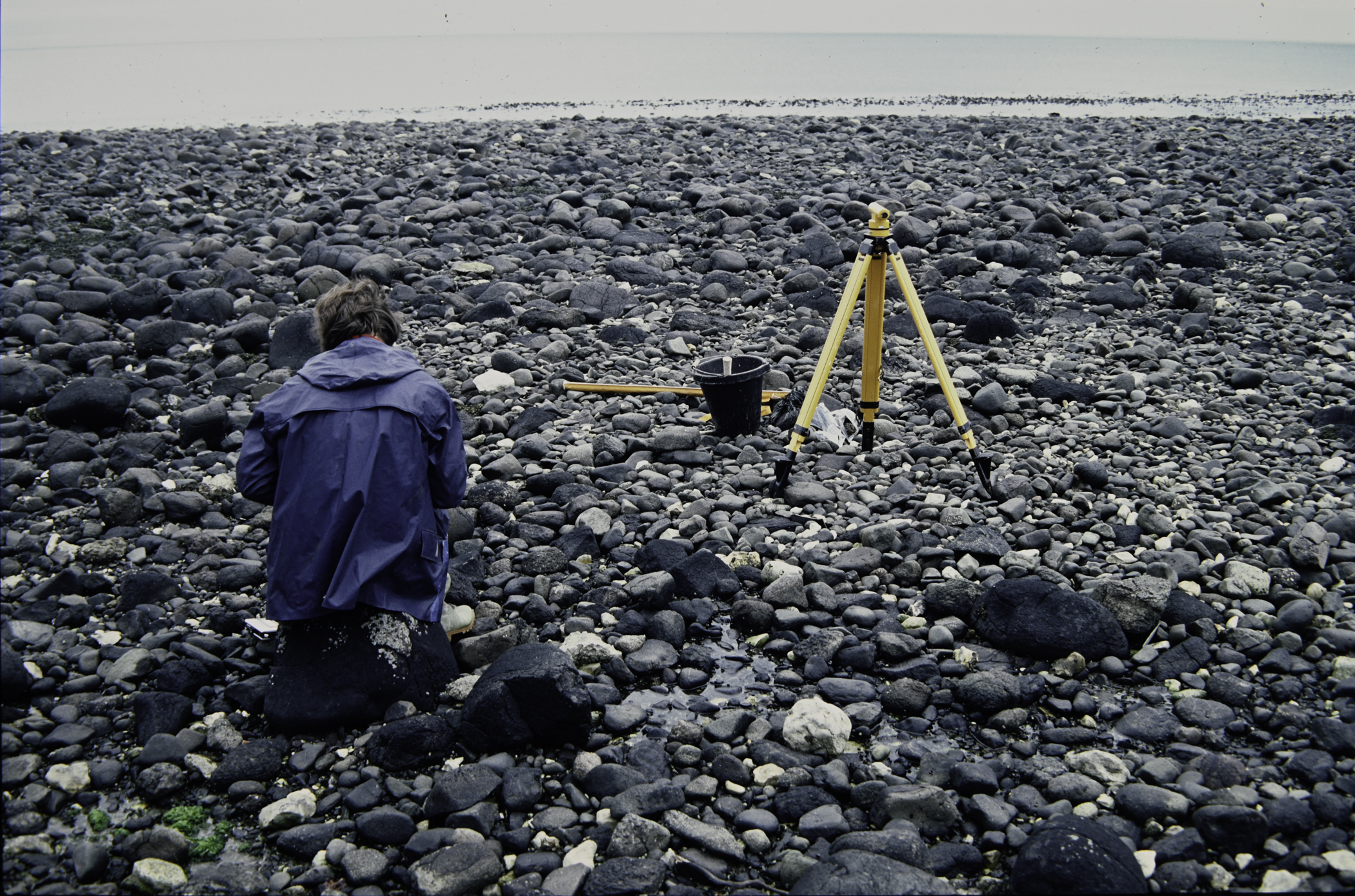 . Site: Drumnagreagh Port, NE Coast. 