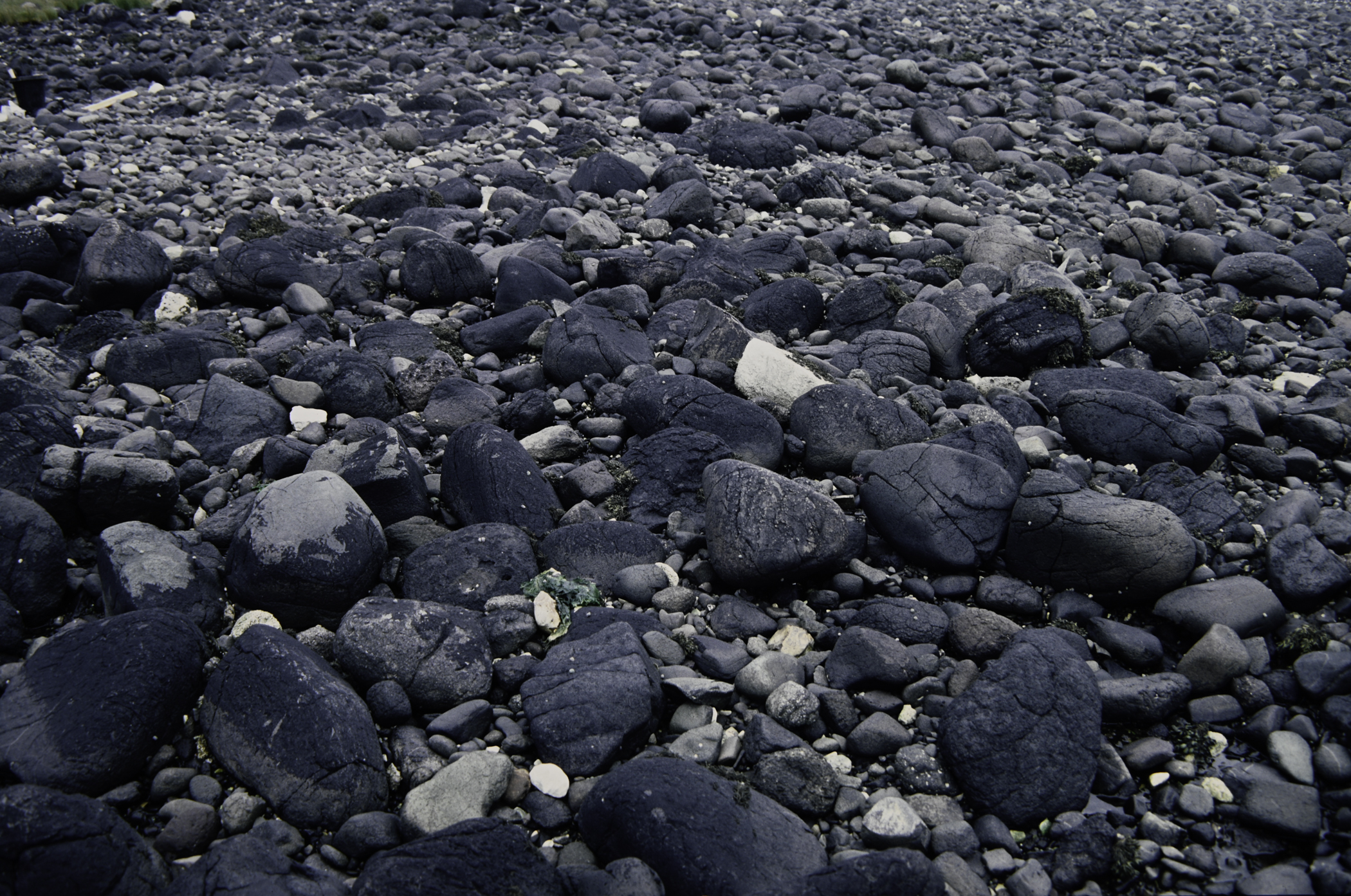 . Site: Drumnagreagh Port, NE Coast. 