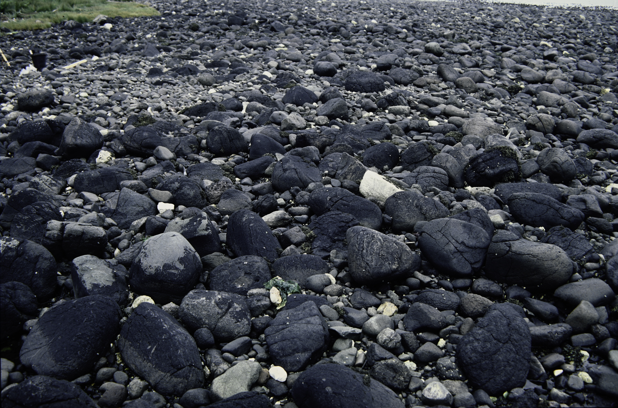 . Site: Drumnagreagh Port, NE Coast. 