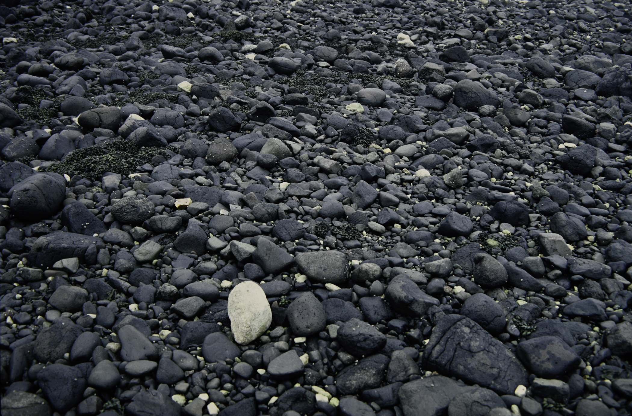 . Site: Drumnagreagh Port, NE Coast. 